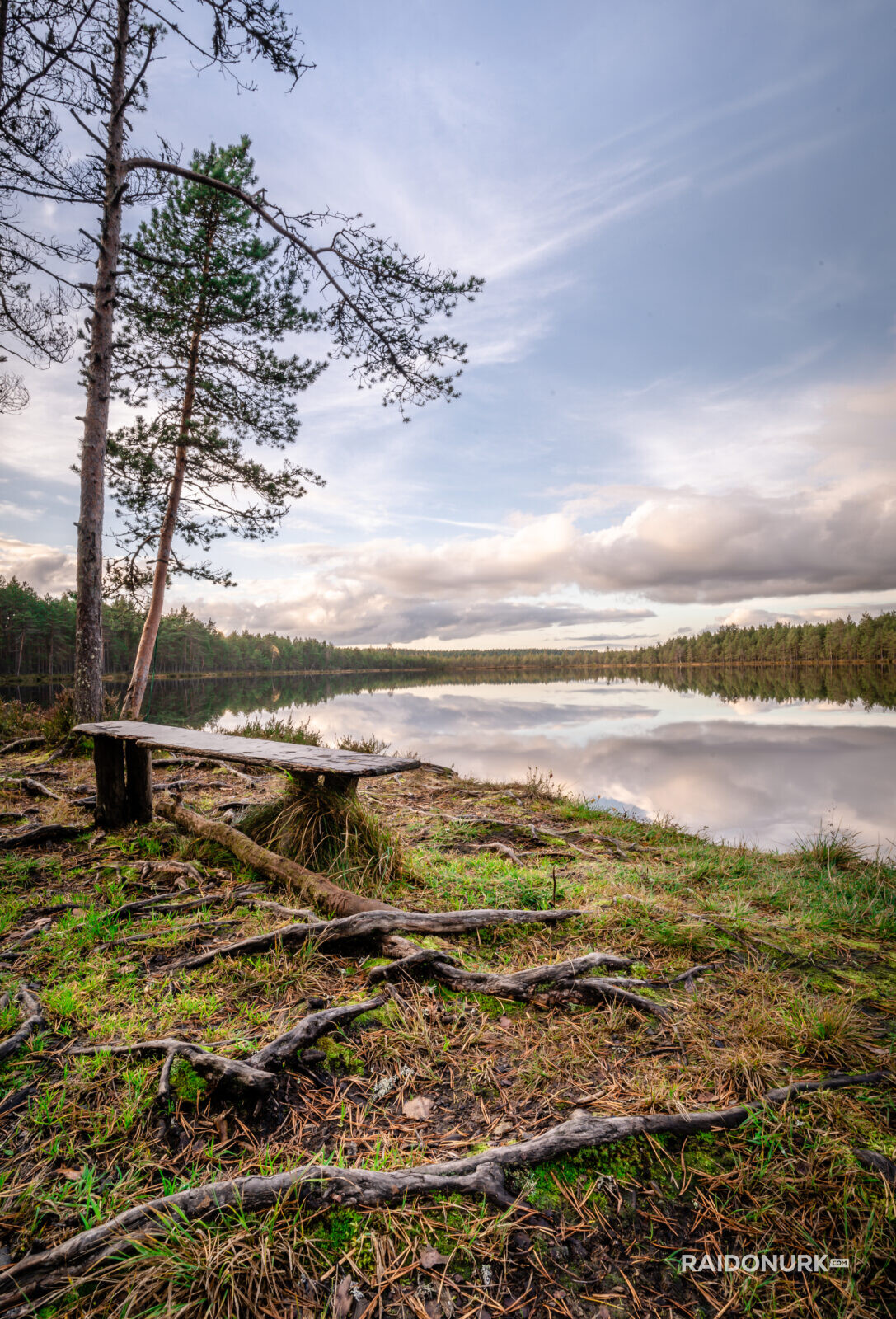 Kõrvemaa, raba, Eesti loodus, rabad, Eesti rabad, Kõrvemaa matkarada, Kõrvemaa raba, venejärv, suvi, eesti loodus, looduspildid, visitkõrvemaa, Estonia, visitestonia