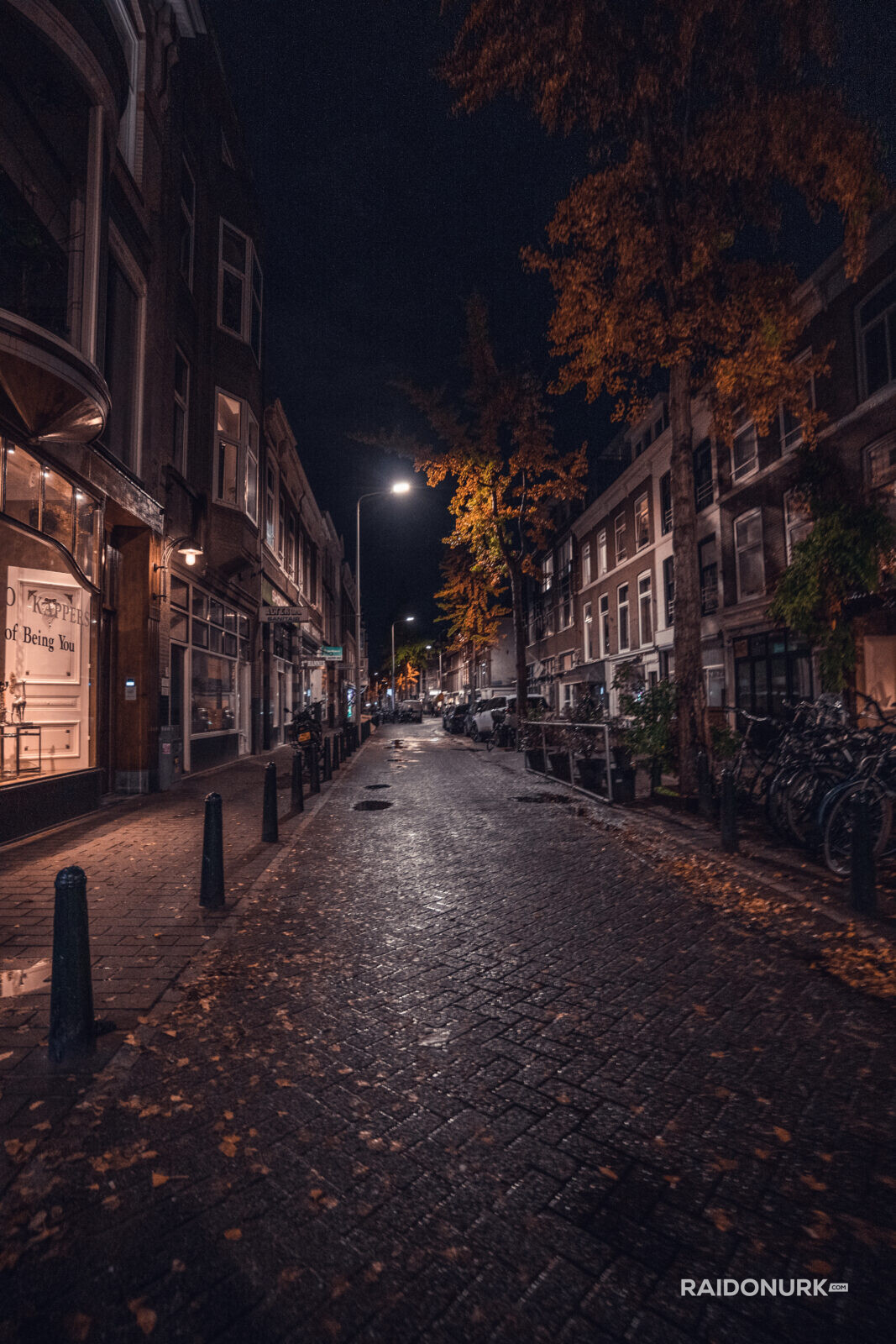 Holland, Den Haag, city, architecture, night, autumn