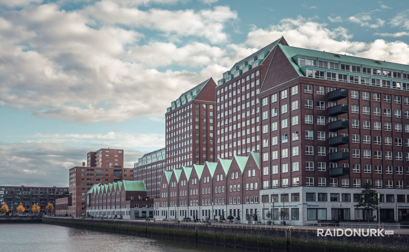 Holland, Rotterdam, Rotterdam city, architecture, Rotterdam downtown