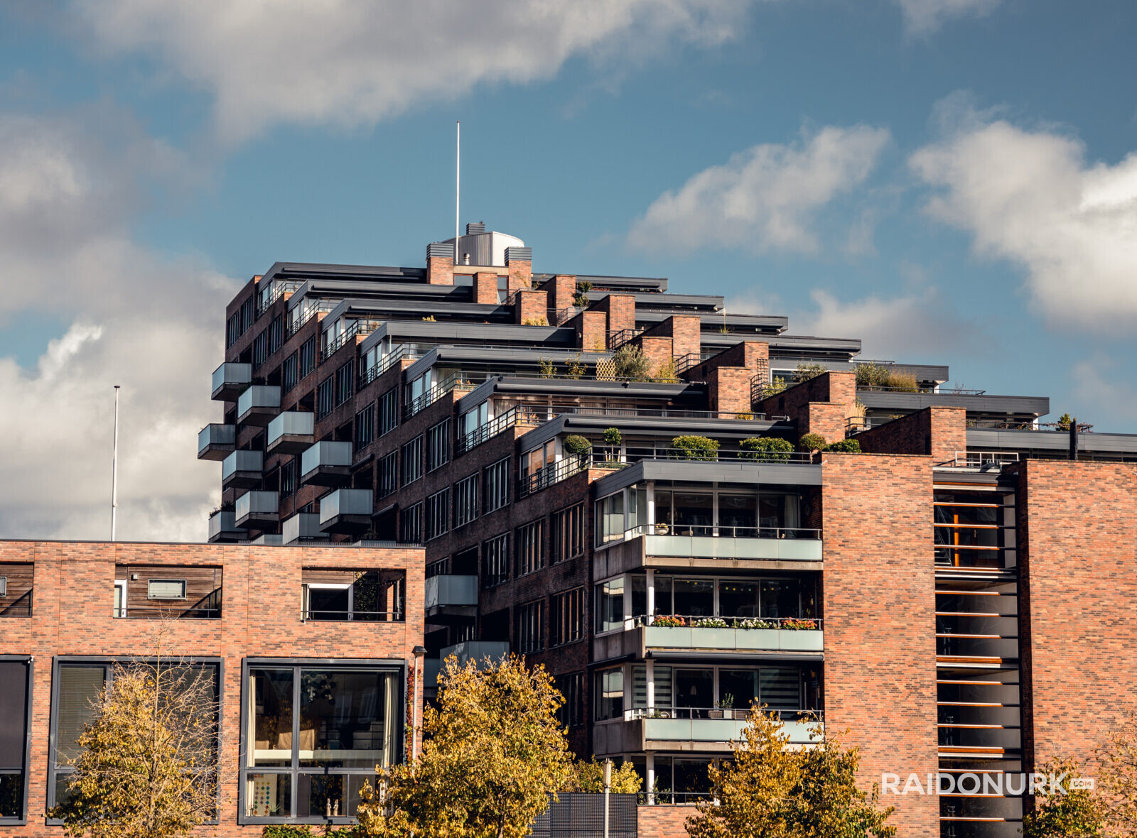 Holland, Rotterdam, Rotterdam city, architecture, Rotterdam downtown