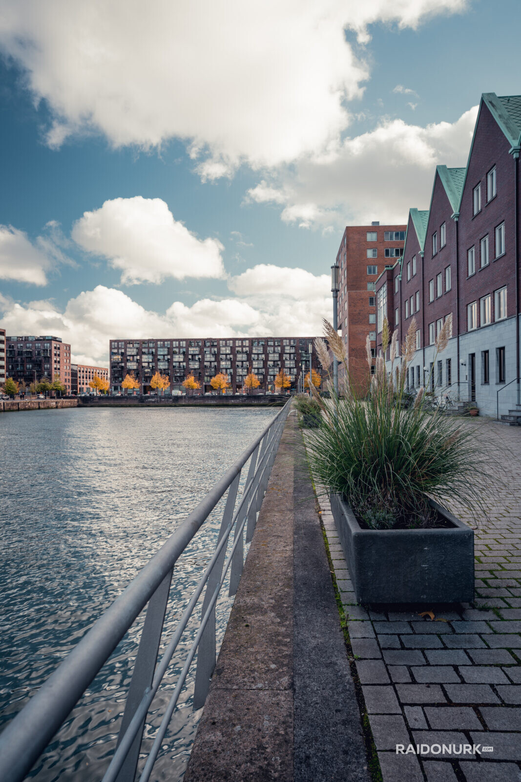 Holland, Rotterdam, Rotterdam city, architecture, Rotterdam downtown