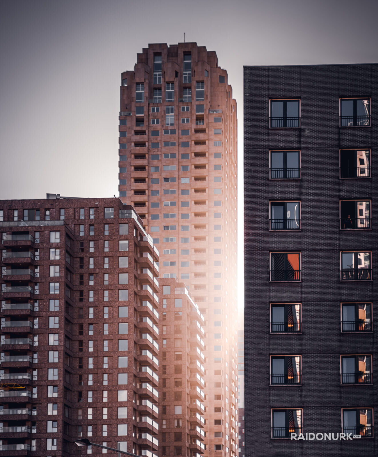 Holland, Rotterdam, Rotterdam city, architecture, Rotterdam downtown