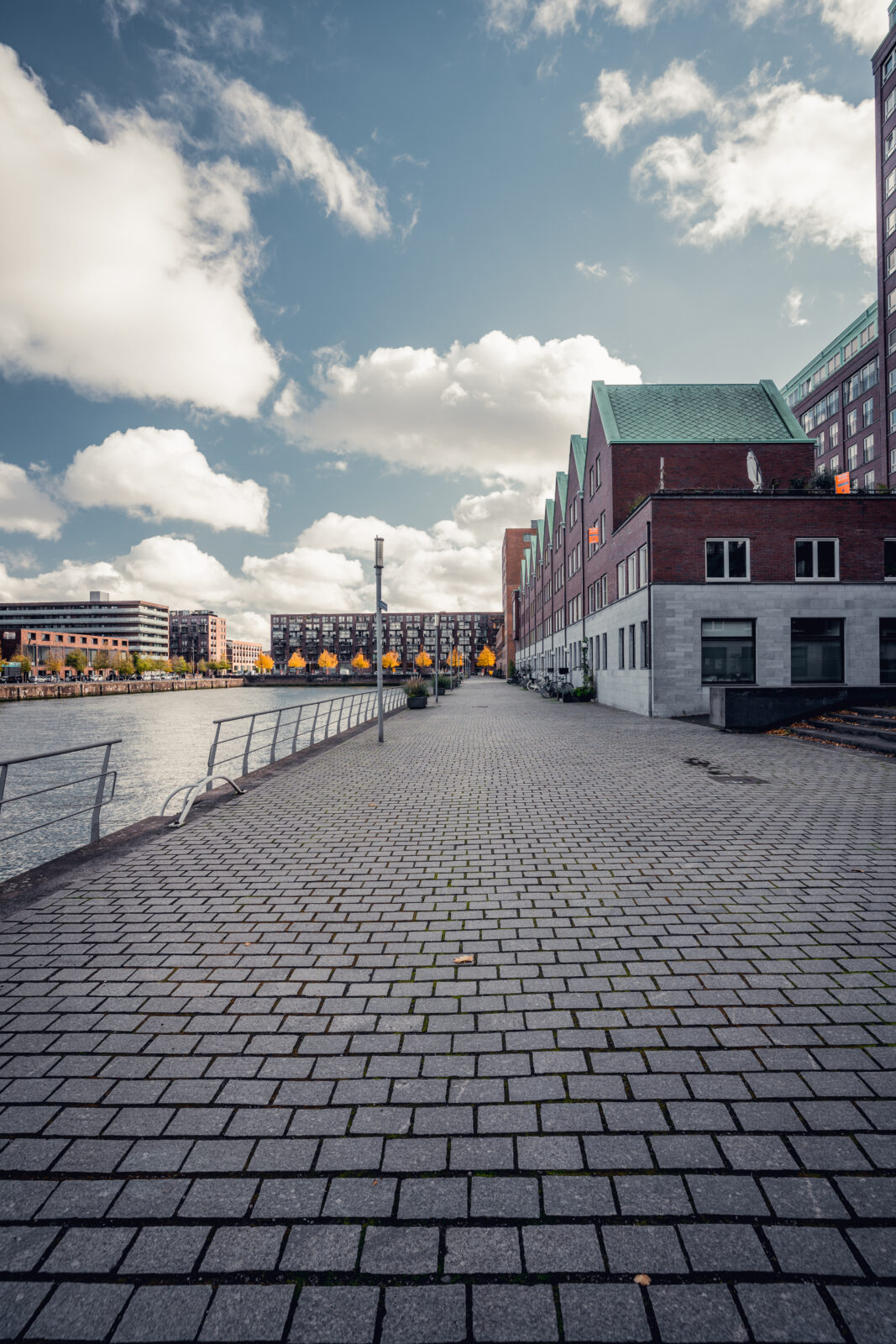 Holland, Rotterdam, Rotterdam city, architecture, Rotterdam downtown