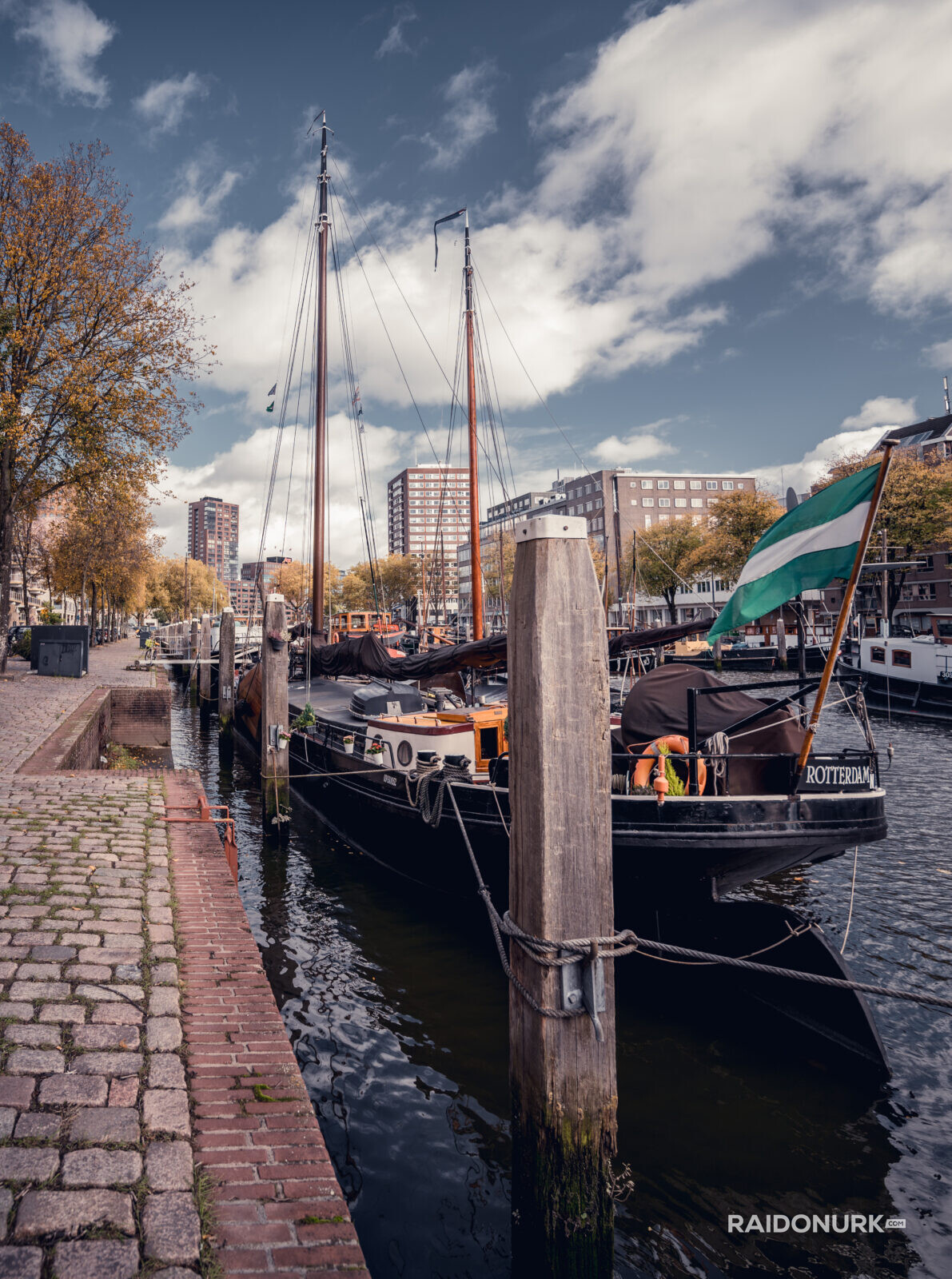 Holland, Rotterdam, Rotterdam city, architecture, Rotterdam downtown