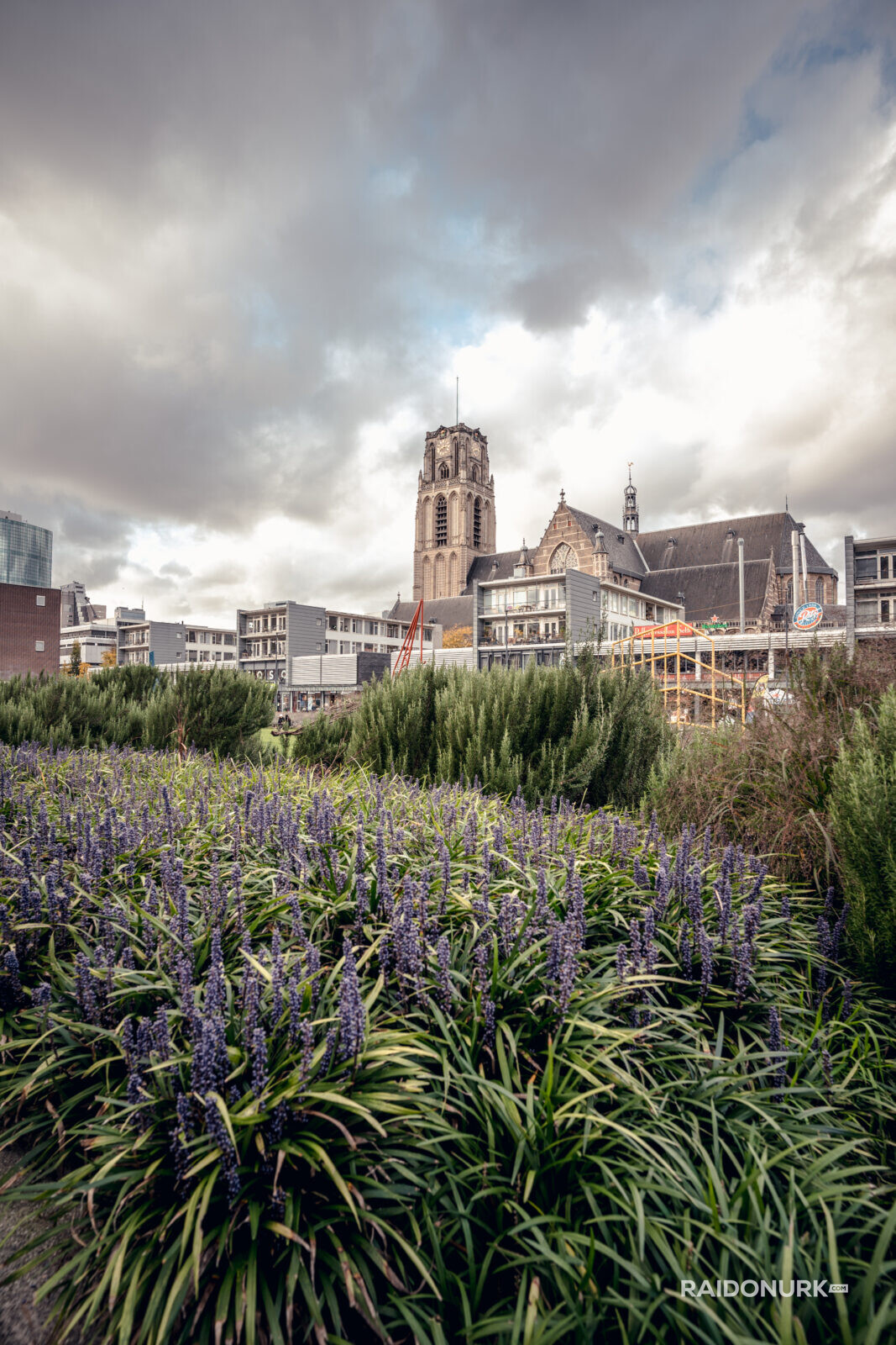 Holland, Rotterdam, Rotterdam city, architecture, Rotterdam downtown