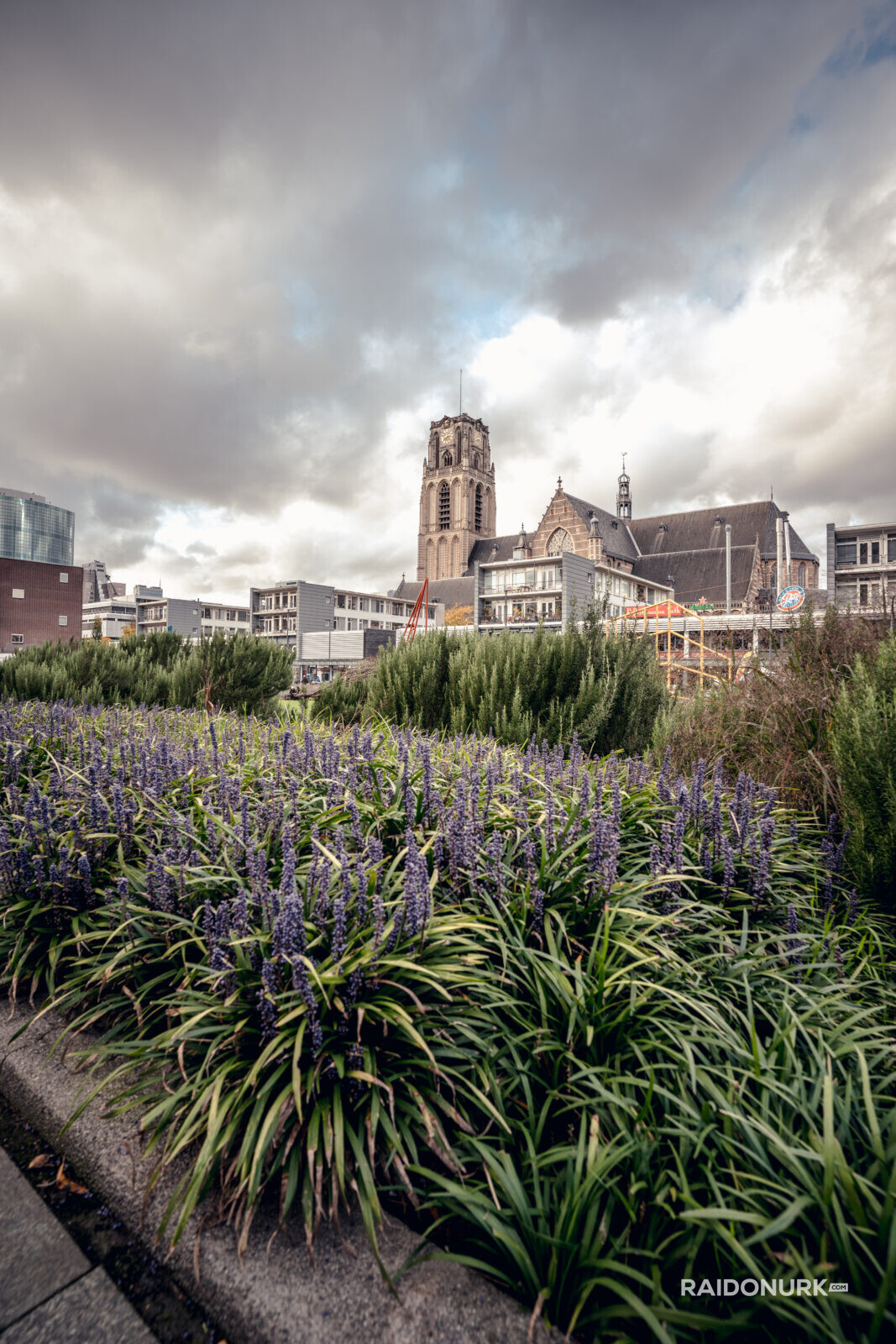 Holland, Rotterdam, Rotterdam city, architecture, Rotterdam downtown