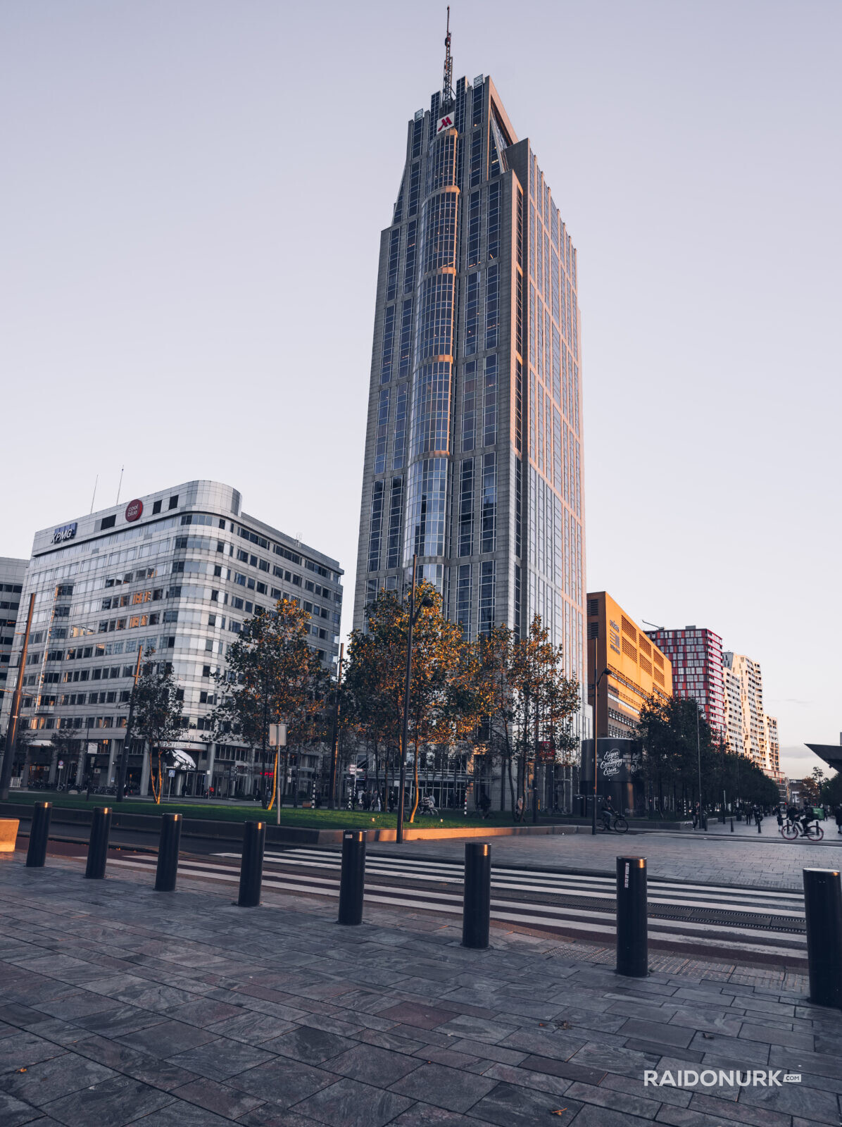 Holland, Rotterdam, Rotterdam city, architecture, Rotterdam downtown