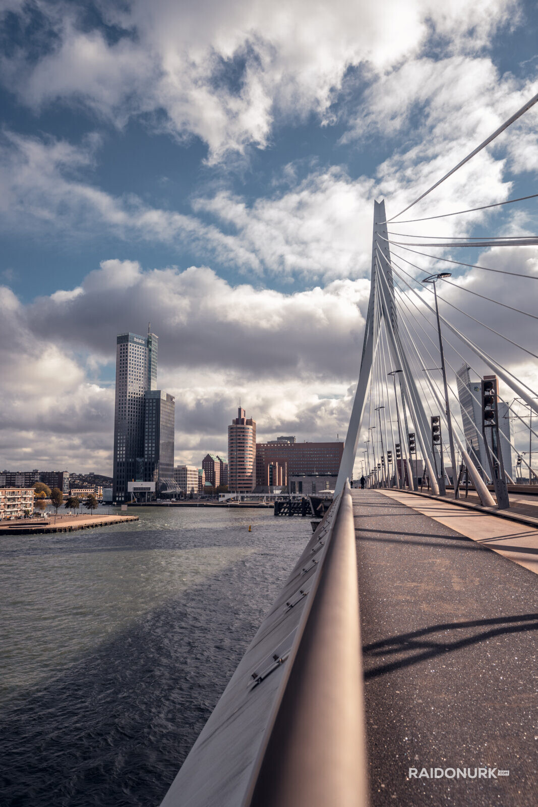 Rotterdam, city, Holland, Erasmusburg, Erasmus bridge