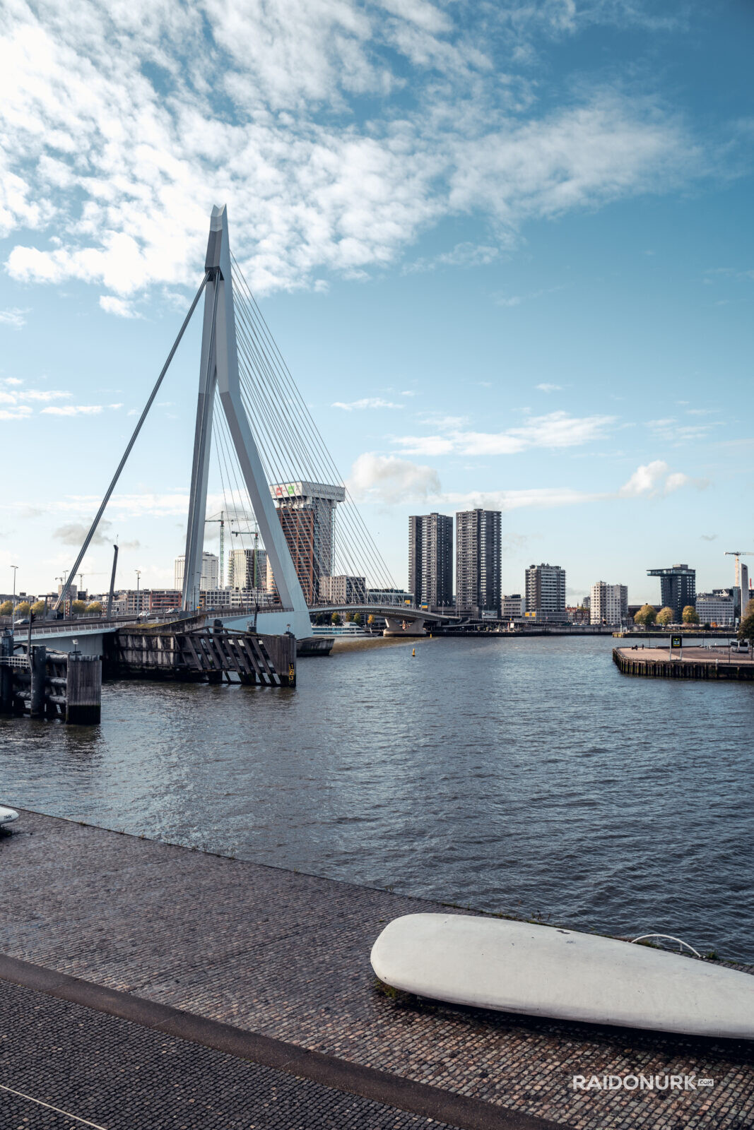 Rotterdam, city, Holland, Erasmusburg, Erasmus bridge
