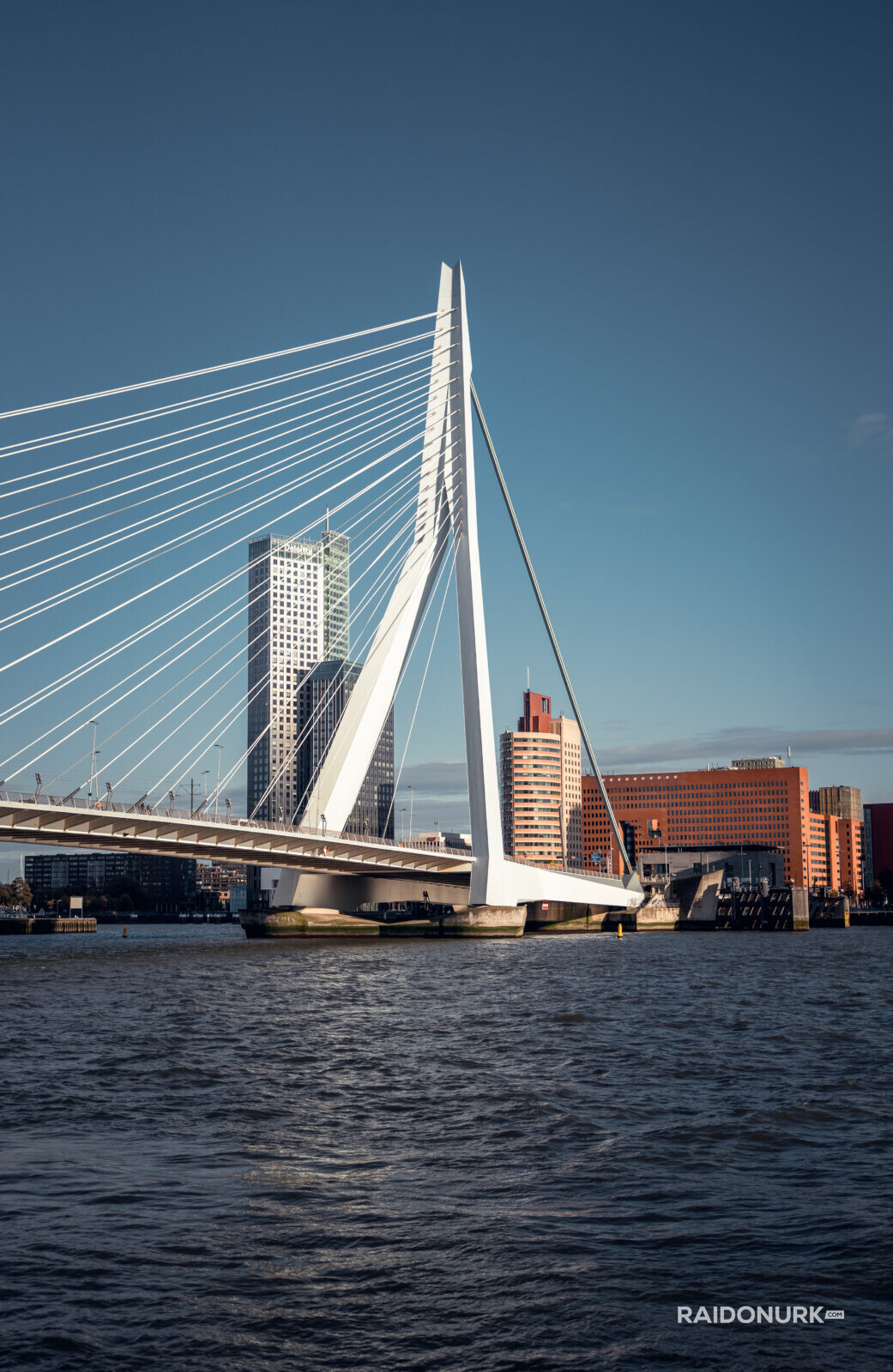 Rotterdam, city, Holland, Erasmusburg, Erasmus bridge
