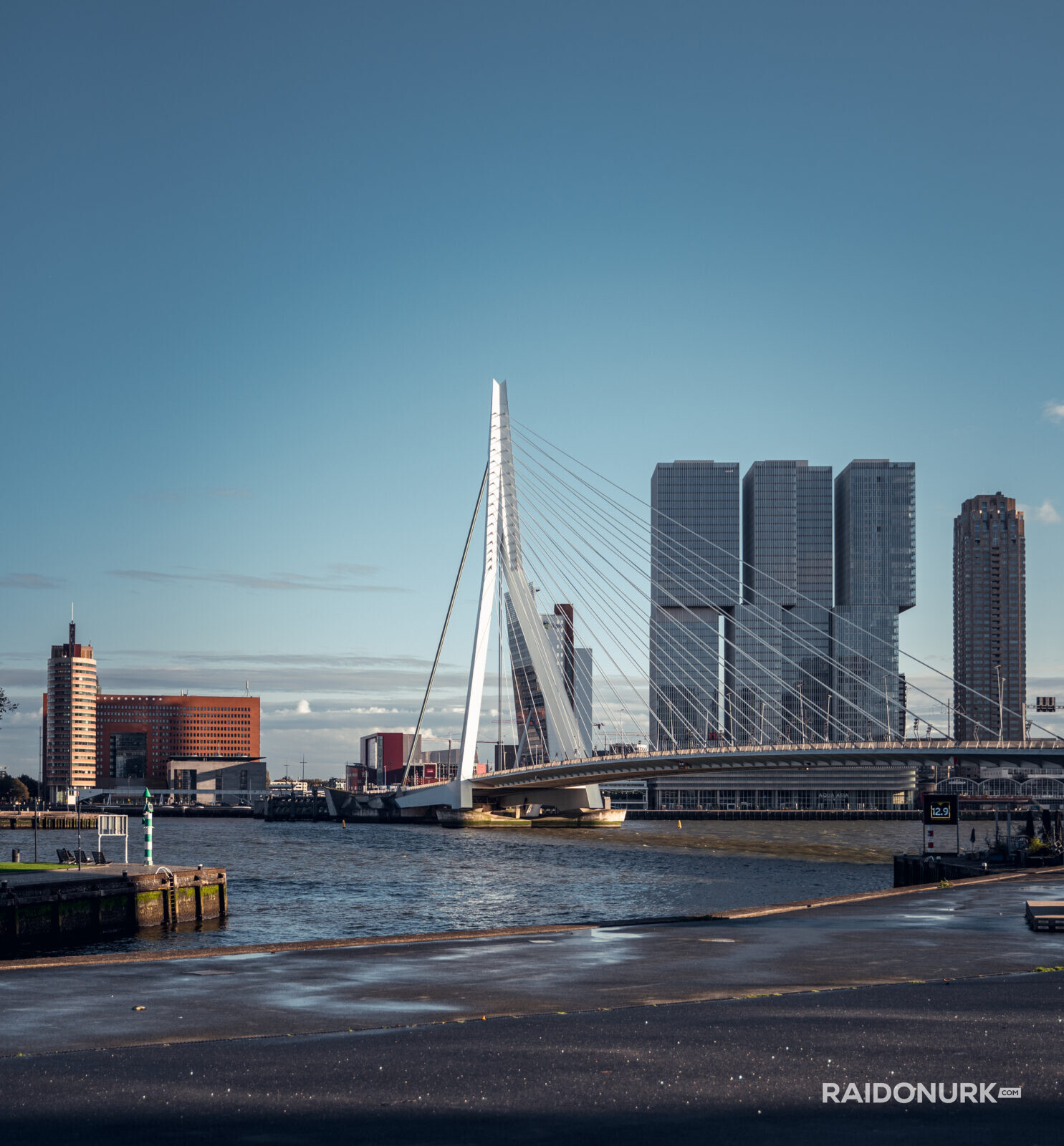 Rotterdam, city, Holland, Erasmusburg, Erasmus bridge