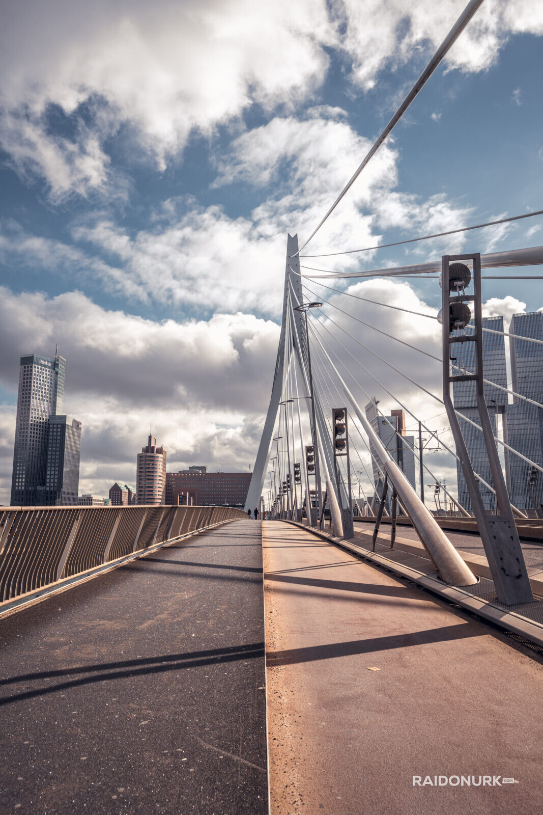 Rotterdam, city, Holland, Erasmusburg, Erasmus bridge