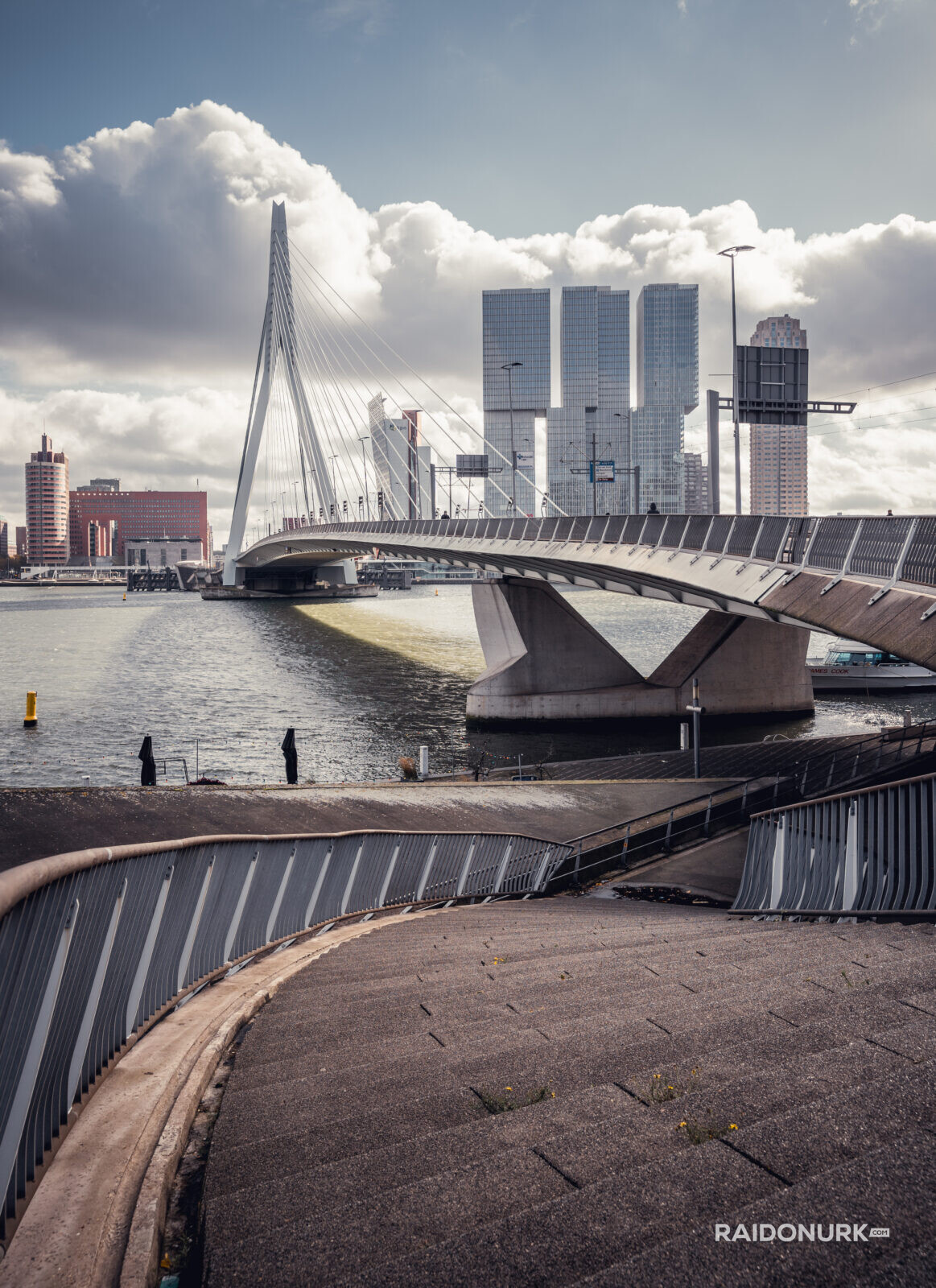 Rotterdam, city, Holland, Erasmusburg, Erasmus bridge