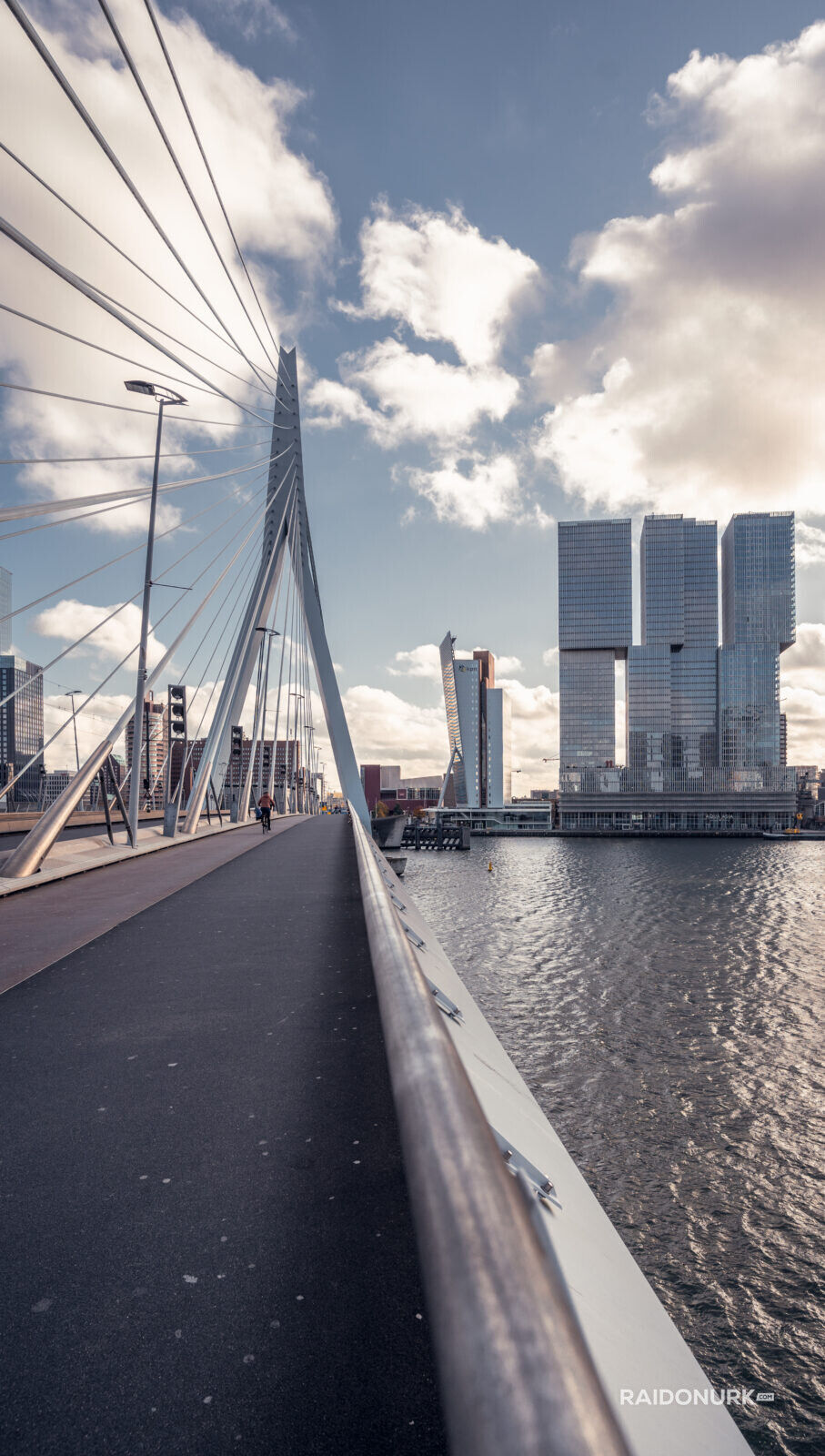 Rotterdam, city, Holland, Erasmusburg, Erasmus bridge