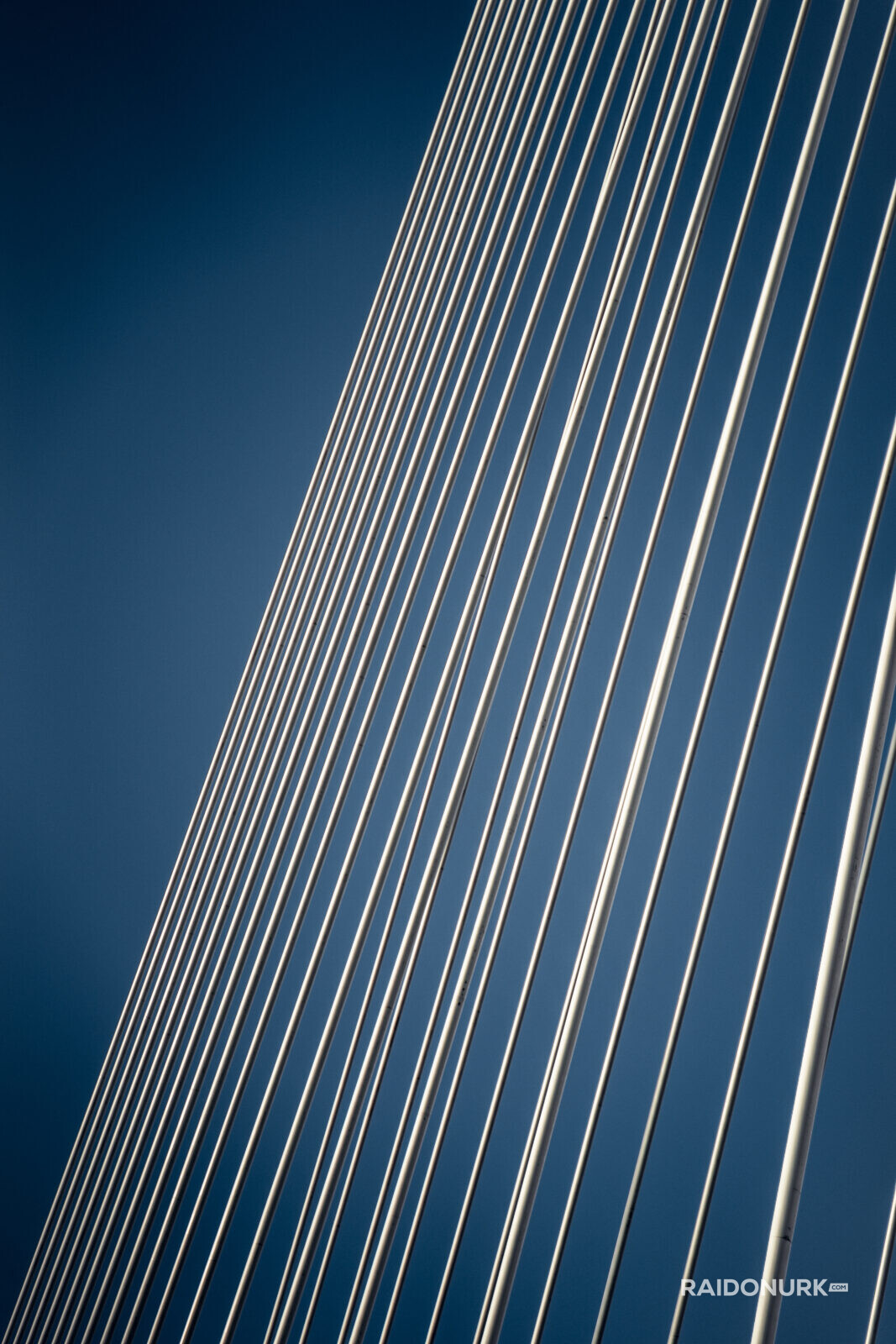 Rotterdam, city, Holland, Erasmusburg, Erasmus bridge