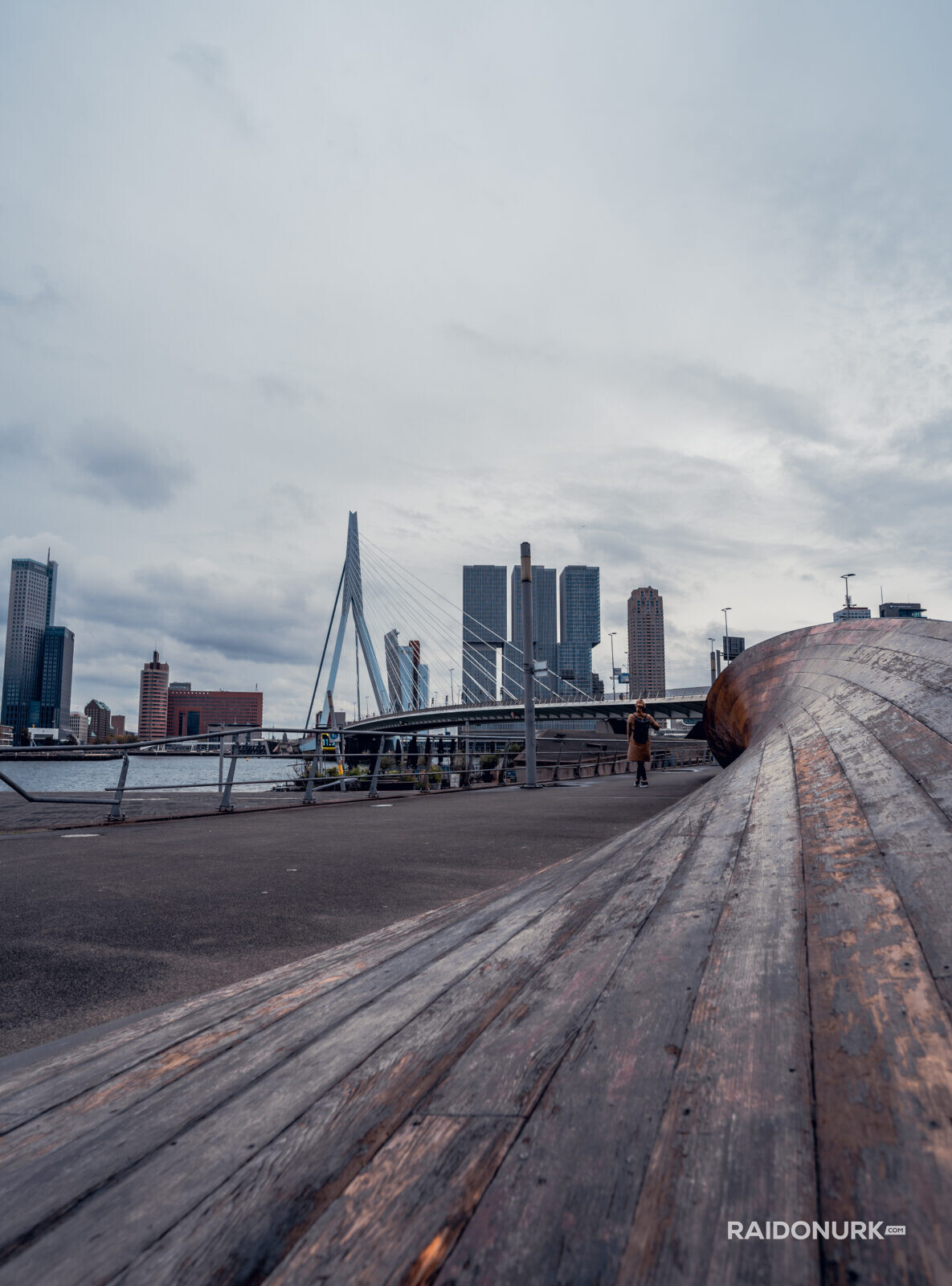 Rotterdam, city, Holland, Erasmusburg, Erasmus bridge