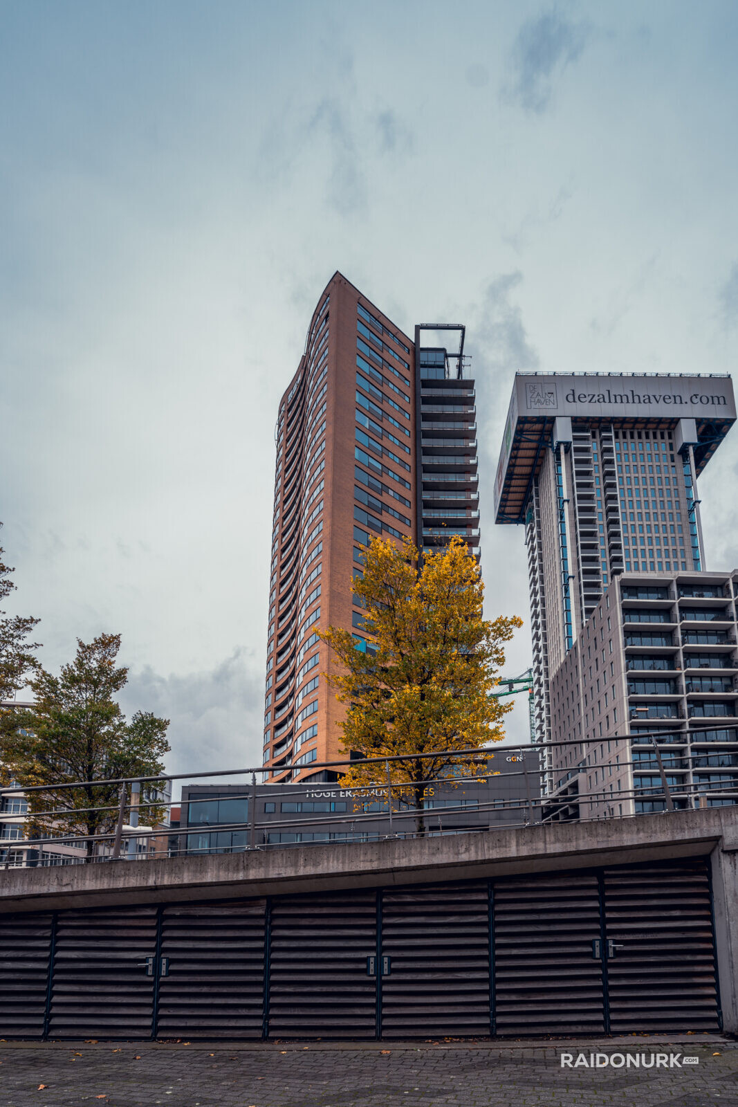 Rotterdam, city, Holland, Erasmusburg, Erasmus bridge