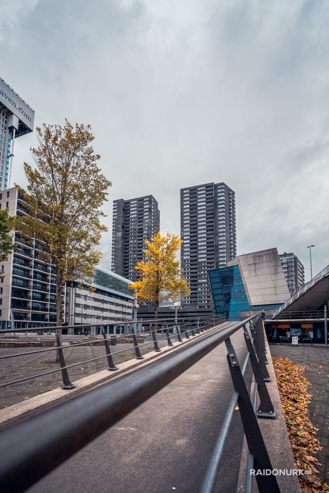 Rotterdam, city, Holland, Erasmusburg, Erasmus bridge