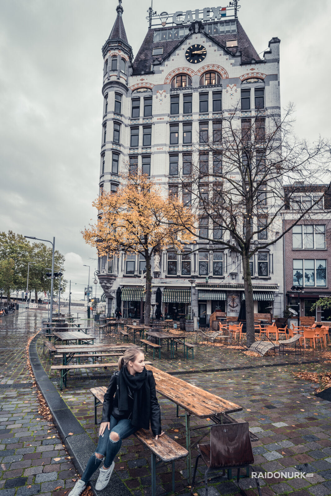 Rotterdam, Rotterdam centrum, Rotterdam downtown, city, Holland, Witte Huis