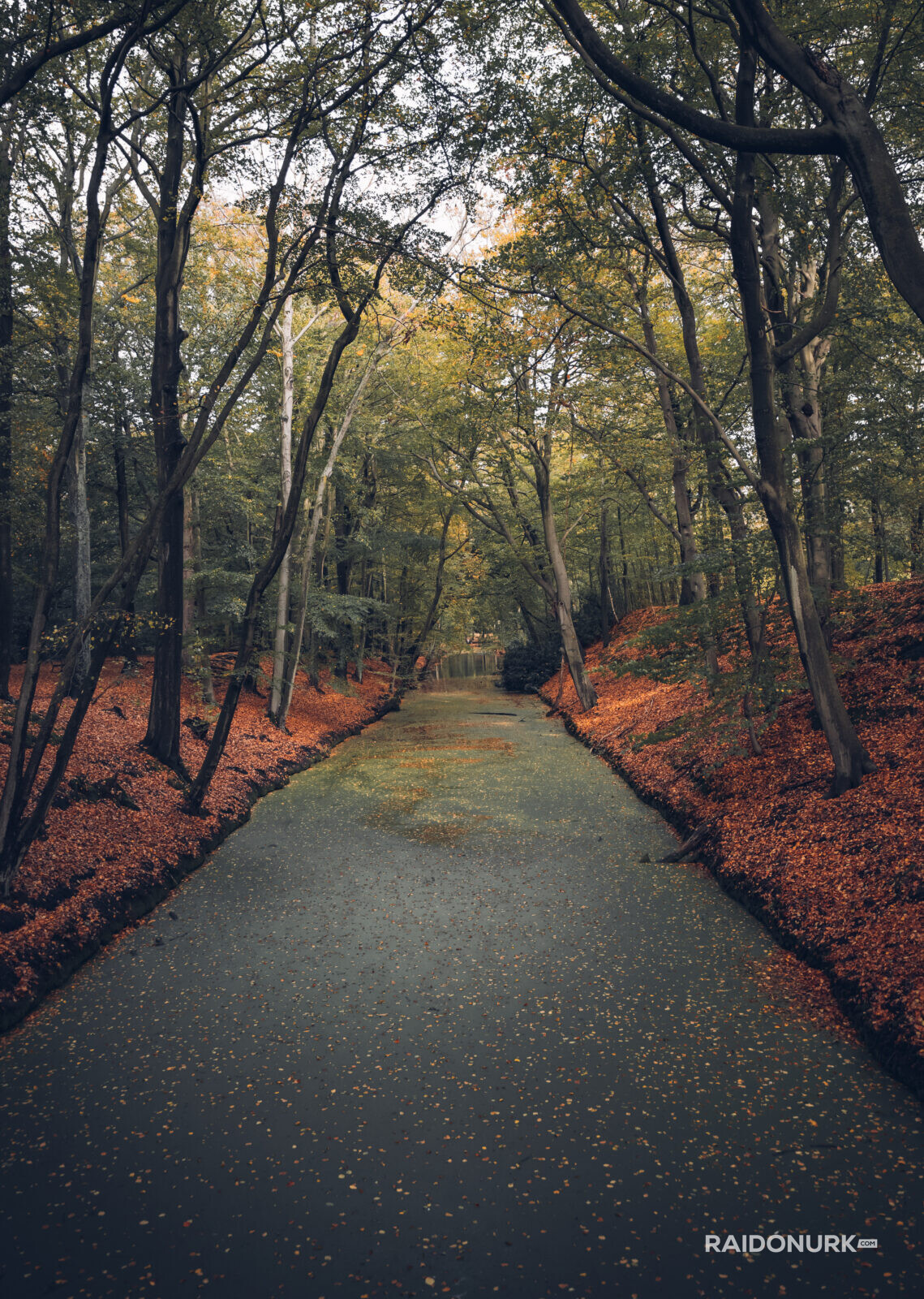 Holland, Den Haag, city, parks, autumn