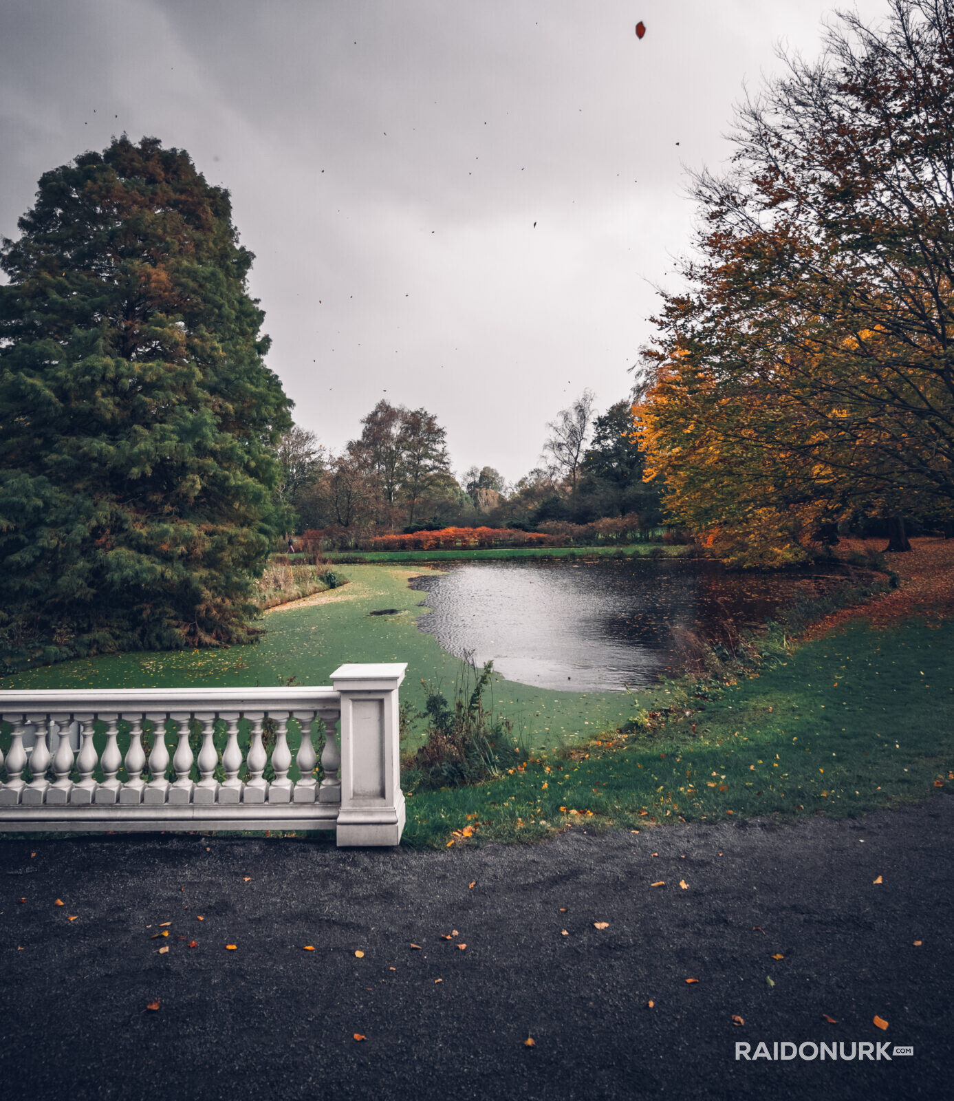 Holland, Den Haag, city, parks, autumn
