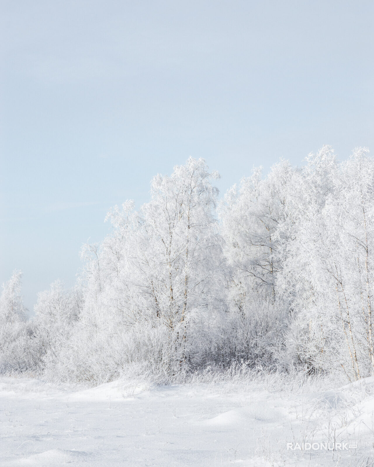 Talv, Winter, härmatis, pakane, lumi, lumised puud, talvine mets, visitestonia, landscape, frost, frosty trees, winter forest, Eesti loodus, Eest tal