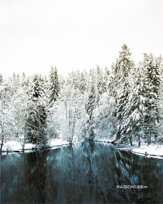 Talv, winter, blue lagoon, sinine laguun, lumi, snow, forest, estonia, lake, järv, looduspildid