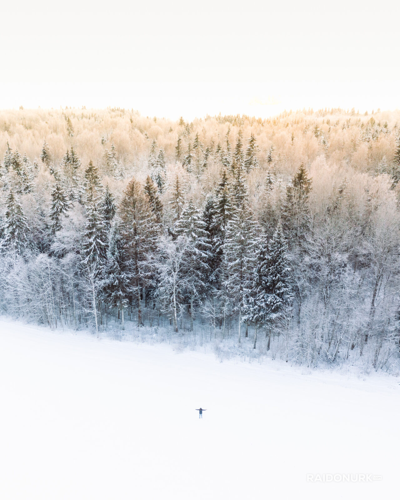 Winter, talv, eesti, eesti mets, eesto loodus, forest, snow, lumi, Põhja-Eesti