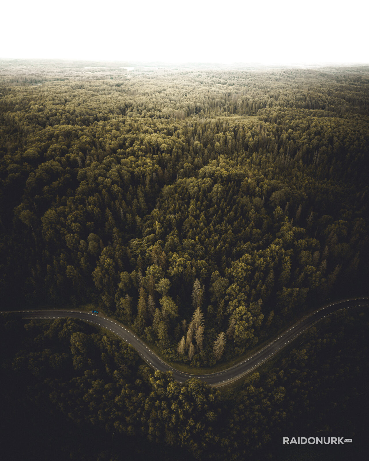 Estonia, summer, droonipildid.ee, otepää, forest, mets, Eesti, eestiloodus
