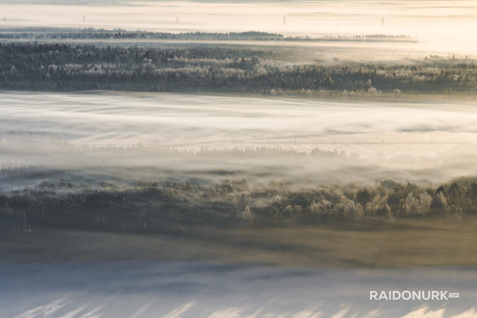 mets, forest, misty forest, estonian wilderness, estonian foggy mornings, misty forest, fog, winter, winter sunset, eesti loodusfotod