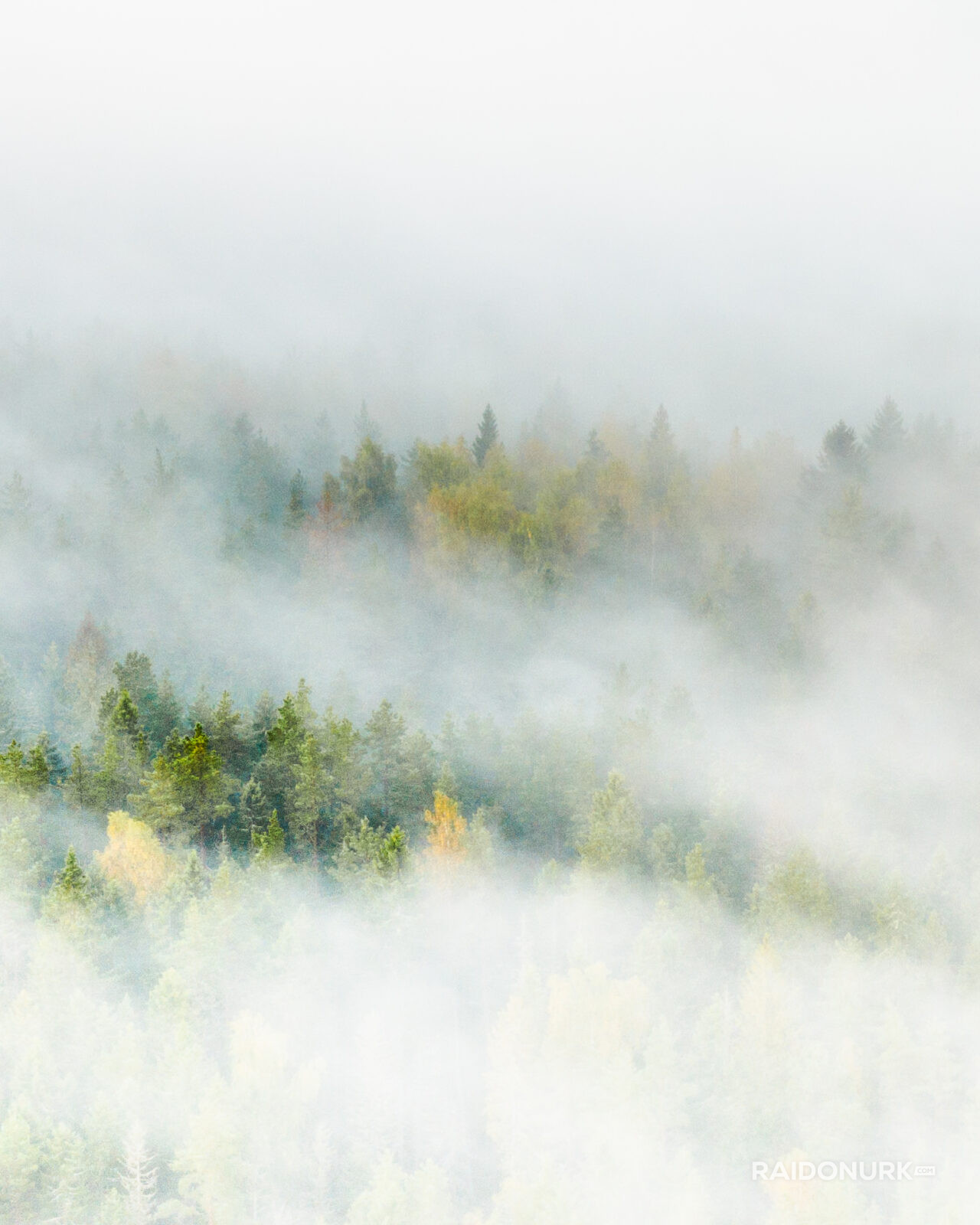 Kõrvemaa, Visit estonia, eesti loodus, eesti mets, visit kõrvemaa, eesti sood ja rabad, udune mets, misty morning sunrise, hommikune udu, päikesetõus rabas, udune raba