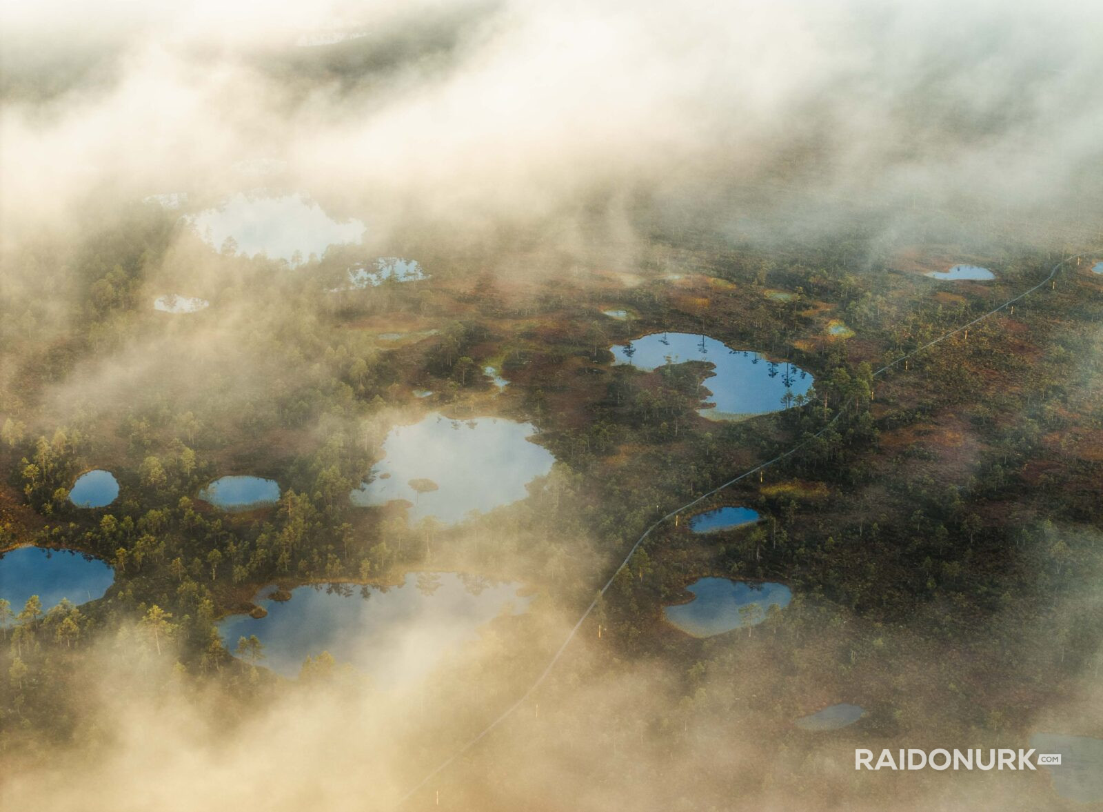 Kõrvemaa, Visit estonia, eesti loodus, eesti mets, visit kõrvemaa, eesti sood ja rabad, udune mets, misty morning sunrise, hommikune udu, päikesetõus rabas, udune raba