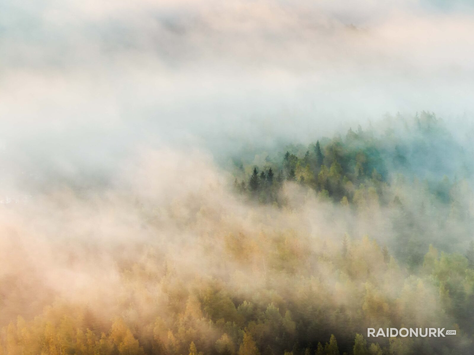 Kõrvemaa, Visit estonia, eesti loodus, eesti mets, visit kõrvemaa, eesti sood ja rabad, udune mets, misty morning sunrise, hommikune udu, päikesetõus rabas, udune raba