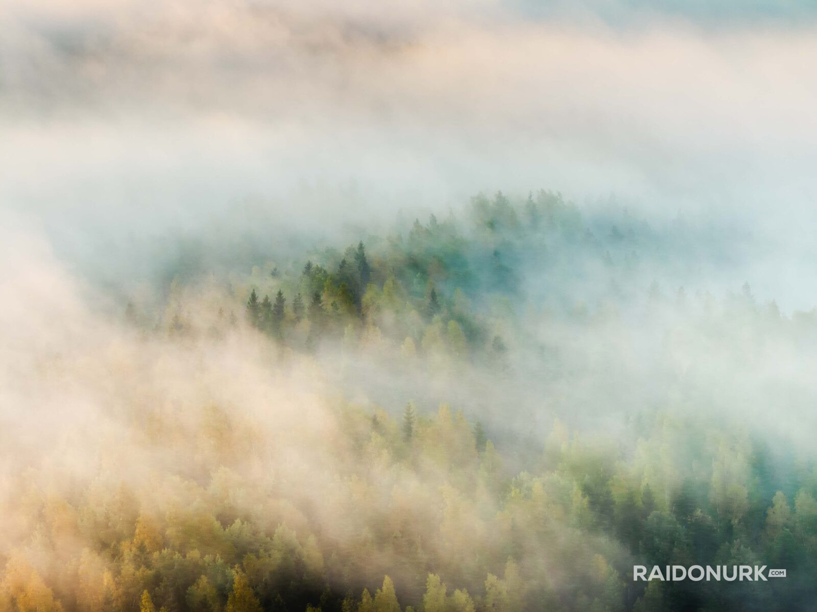 Kõrvemaa, Visit estonia, eesti loodus, eesti mets, visit kõrvemaa, eesti sood ja rabad, udune mets, misty morning sunrise, hommikune udu, päikesetõus rabas, udune raba