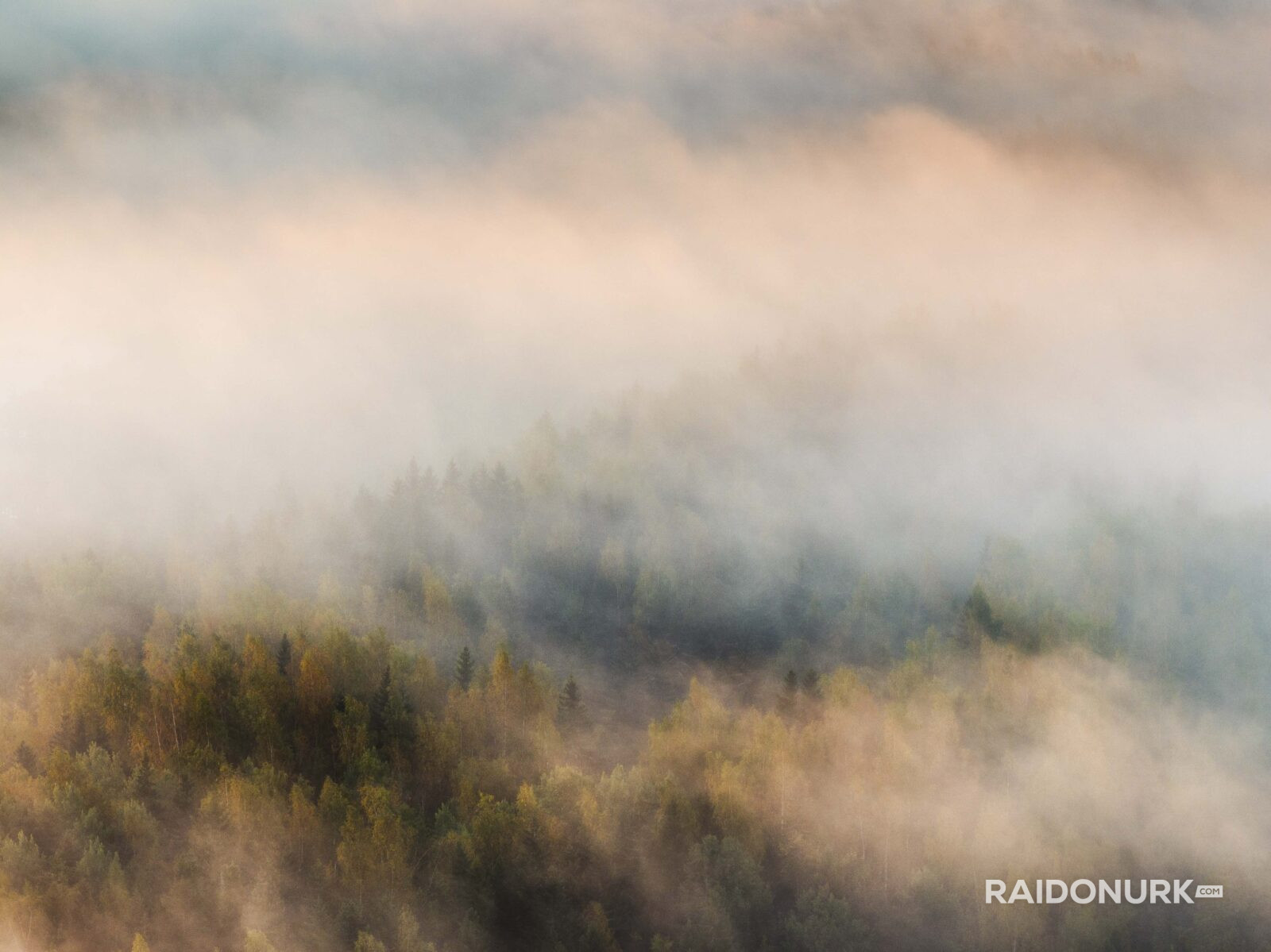 Kõrvemaa, Visit estonia, eesti loodus, eesti mets, visit kõrvemaa, eesti sood ja rabad, udune mets, misty morning sunrise, hommikune udu, päikesetõus rabas, udune raba