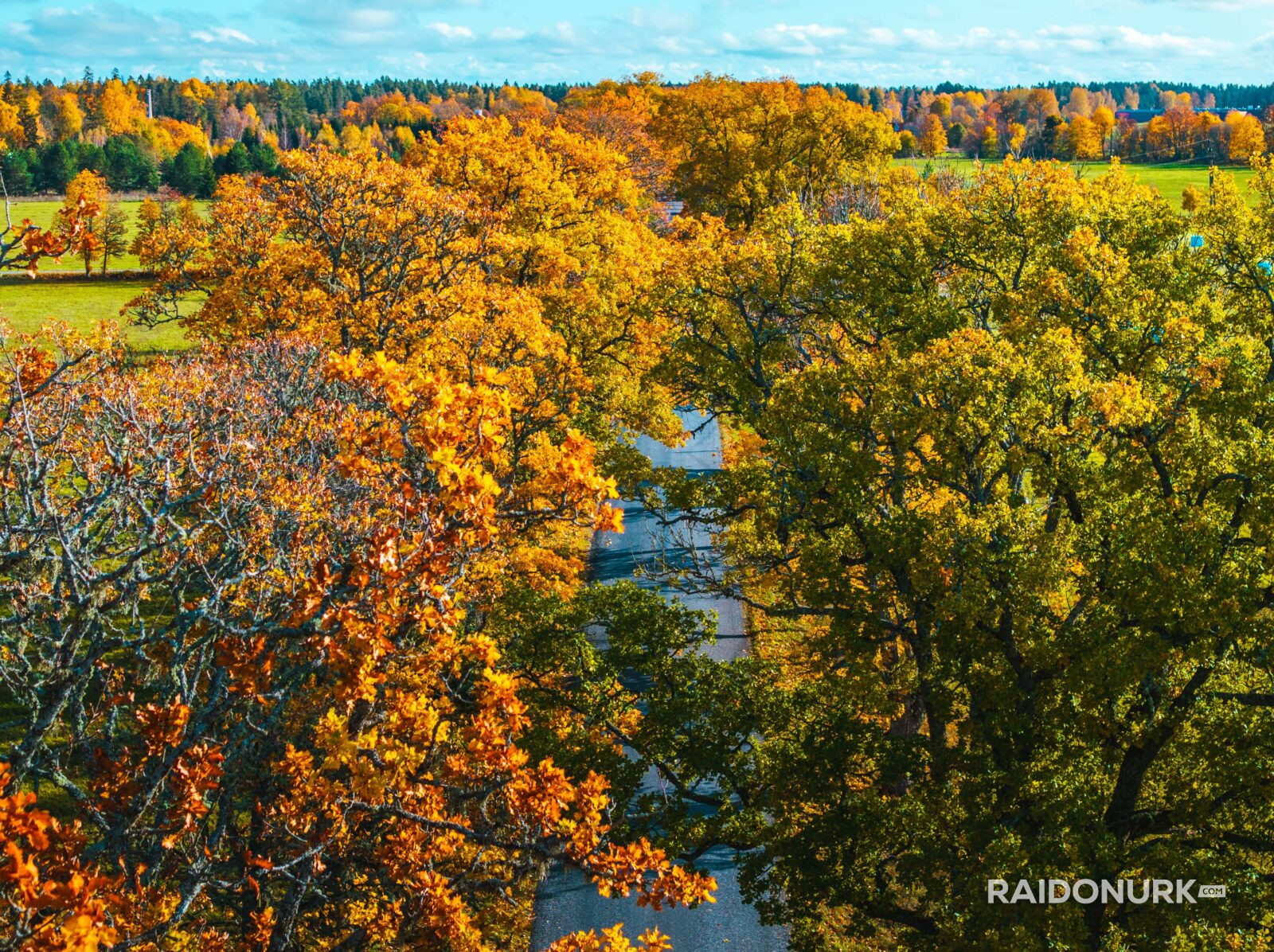 Autumn, autumn colours, autumn estonia, autumn photography