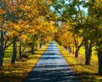 Autumn, autumn colours, autumn estonia, autumn photography