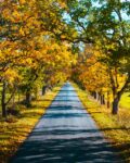 Autumn, autumn colours, autumn estonia, autumn photography