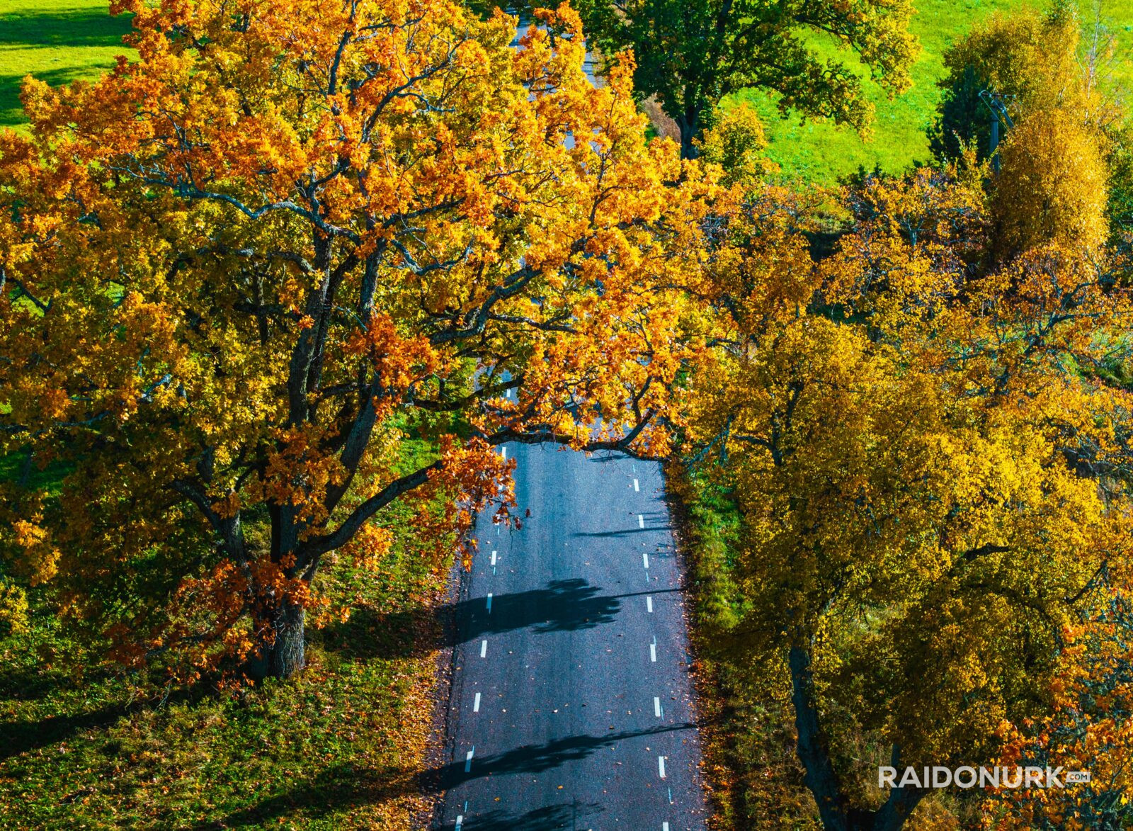 Autumn, autumn colours, autumn estonia, autumn photography