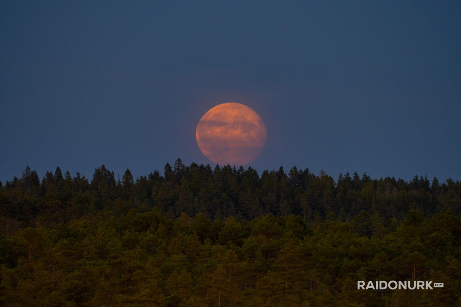 Fullmoon, moon, fullmoon rise, moon rise, just moon thing