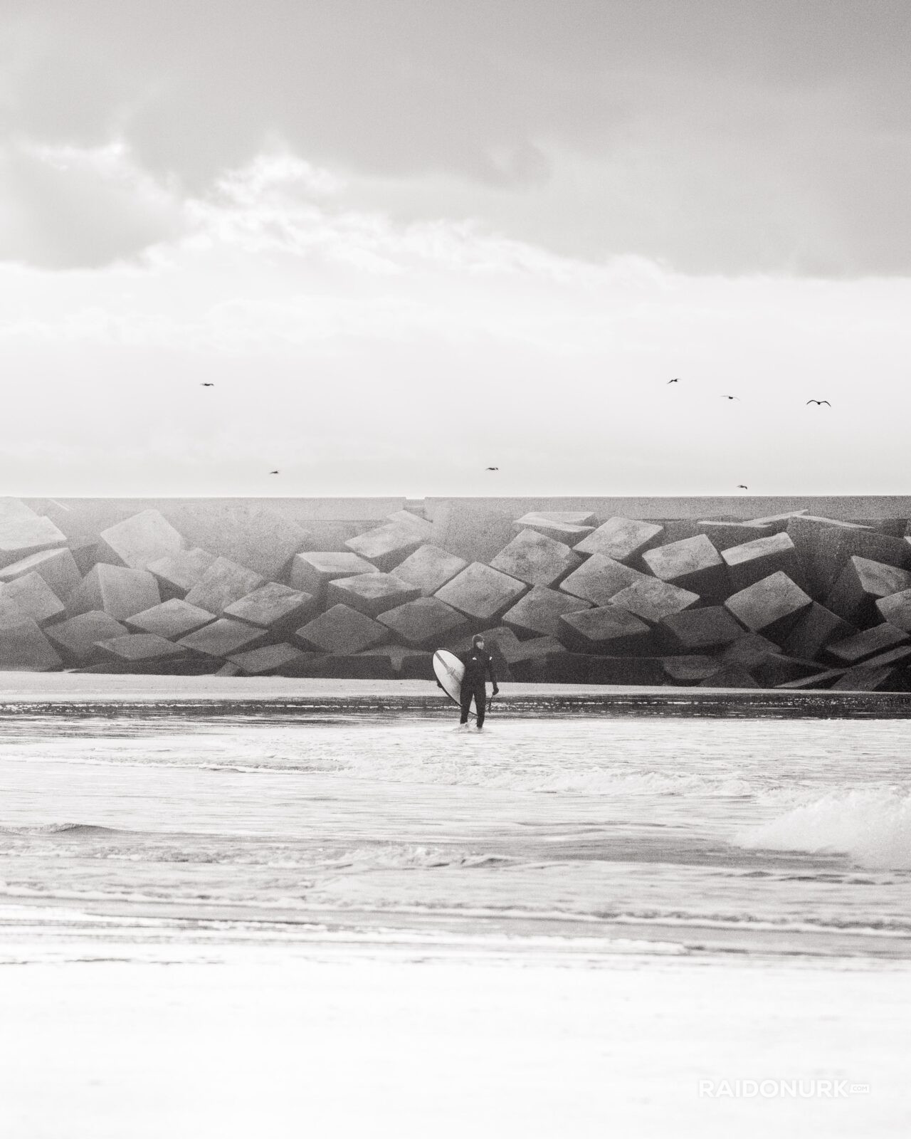 Surf, scheveningen, scheveningen surf, surfing photos, surf photo, surfen, surfipildid