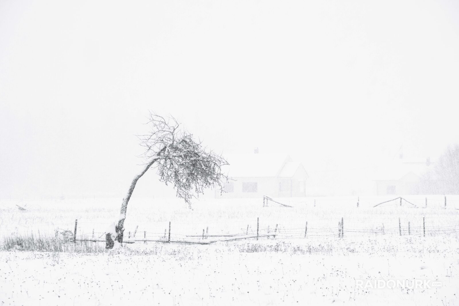 Snow, eesti talv, eesti, visit estonia, snow flood, snowy day, snowy eesto, lumine eesti talv, lumeuputus