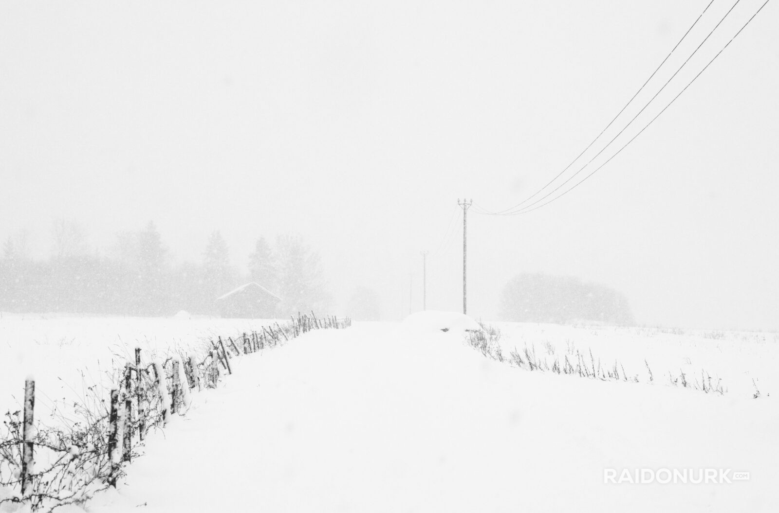 Snow, eesti talv, eesti, visit estonia, snow flood, snowy day, snowy eesto, lumine eesti talv, lumeuputus