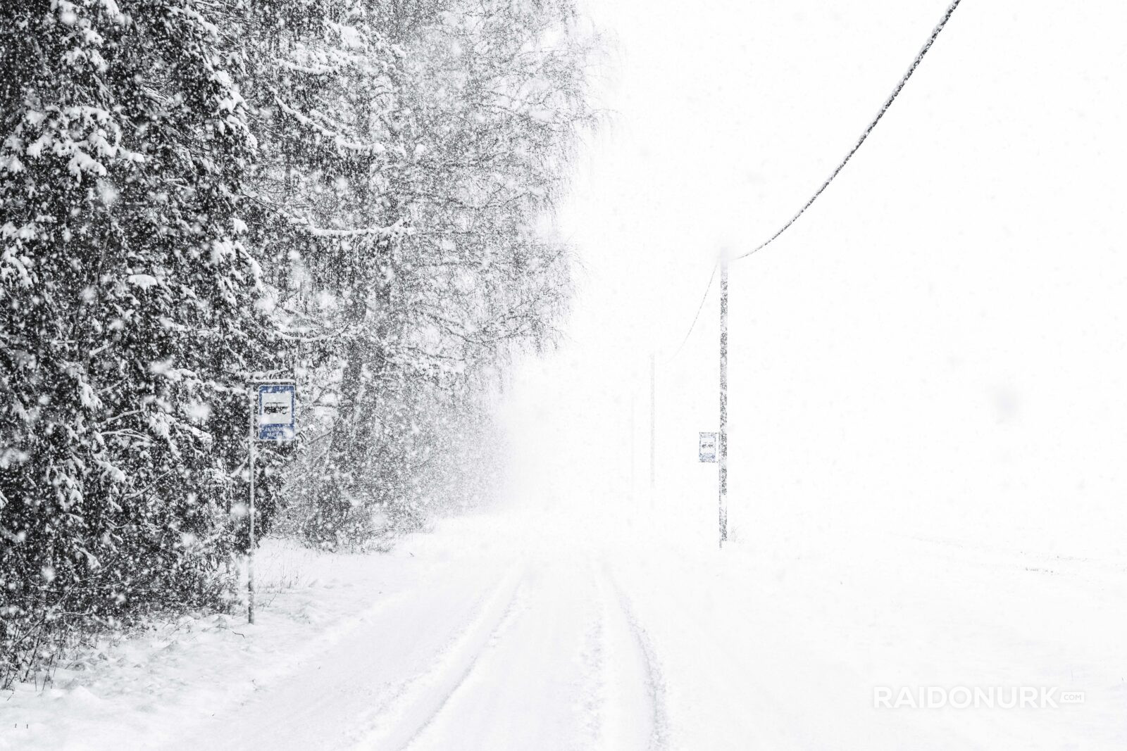 Snow, eesti talv, eesti, visit estonia, snow flood, snowy day, snowy eesto, lumine eesti talv, lumeuputus