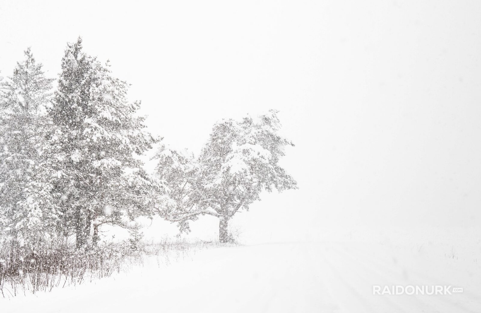 Snow, eesti talv, eesti, visit estonia, snow flood, snowy day, snowy eesto, lumine eesti talv, lumeuputus