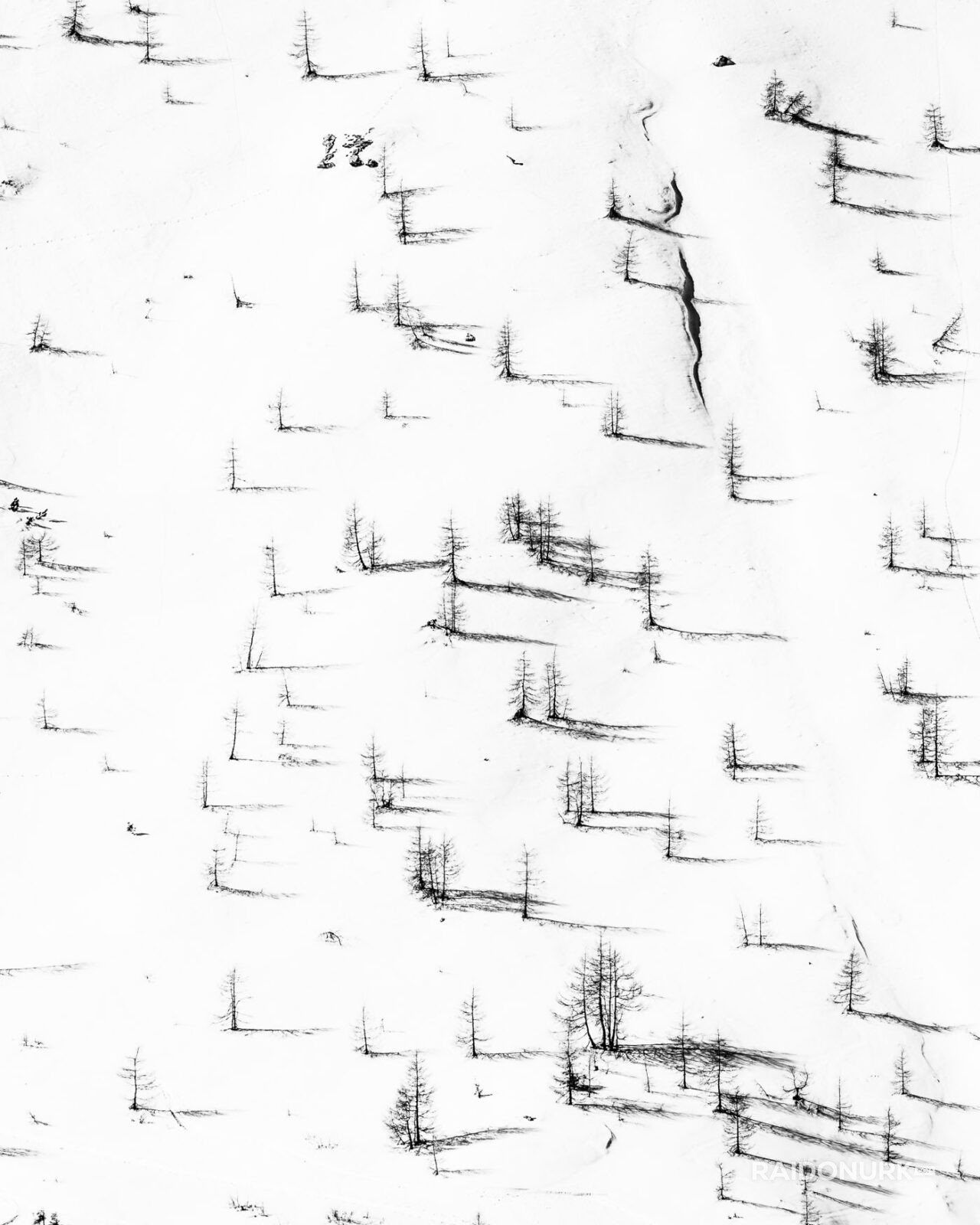 ski racing photography, Dolomites winter, alpine skiing art, black and white snow photography, Raido Nurk, ski gates photo series, winter minimalism, fine art ski photo, shadow play in snow