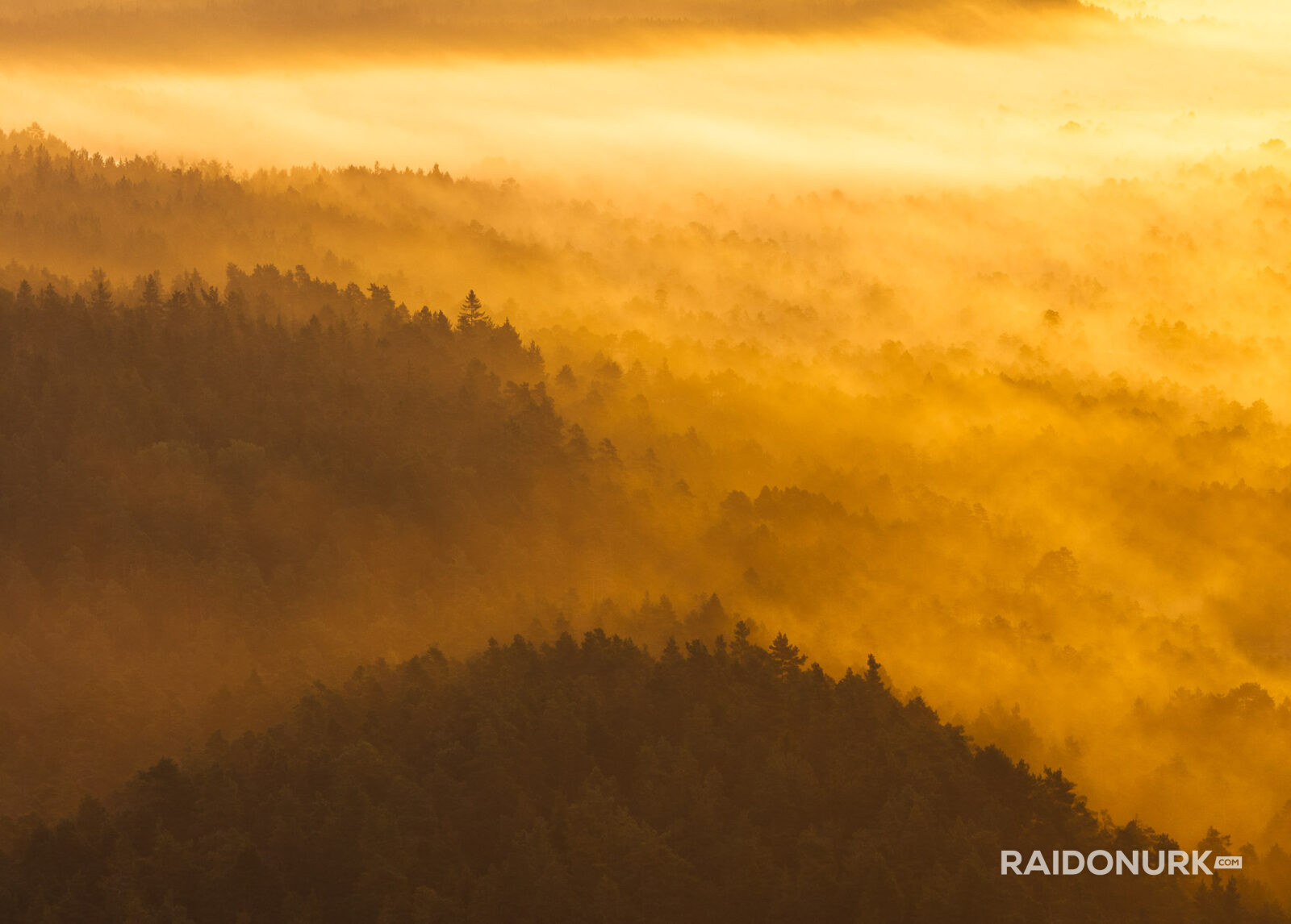 misty forest, morning mist, Nordic landscape, Estonia nature, sunrise photography, foggy morning, layers of mist, pine forest, bog photography, marsh sunrise, golden hour, fine art landscape, wilderness photography, nature fine art, atmospheric landscape, drone-like perspective, solitude in nature, forest layers, Estonian bog, dawn light
