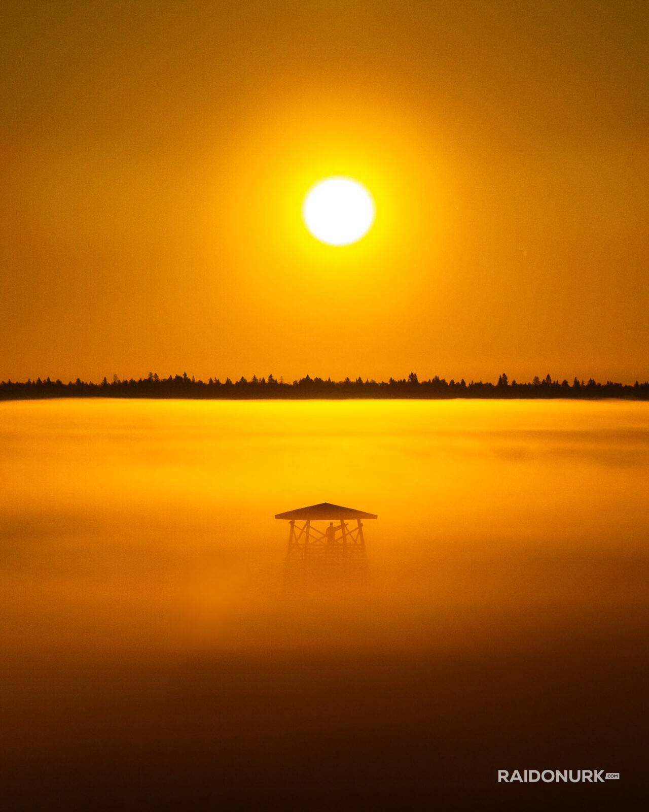 misty forest, morning mist, Nordic landscape, Estonia nature, sunrise photography, foggy morning, layers of mist, pine forest, bog photography, marsh sunrise, golden hour, fine art landscape, wilderness photography, nature fine art, atmospheric landscape, drone-like perspective, solitude in nature, forest layers, Estonian bog, dawn light