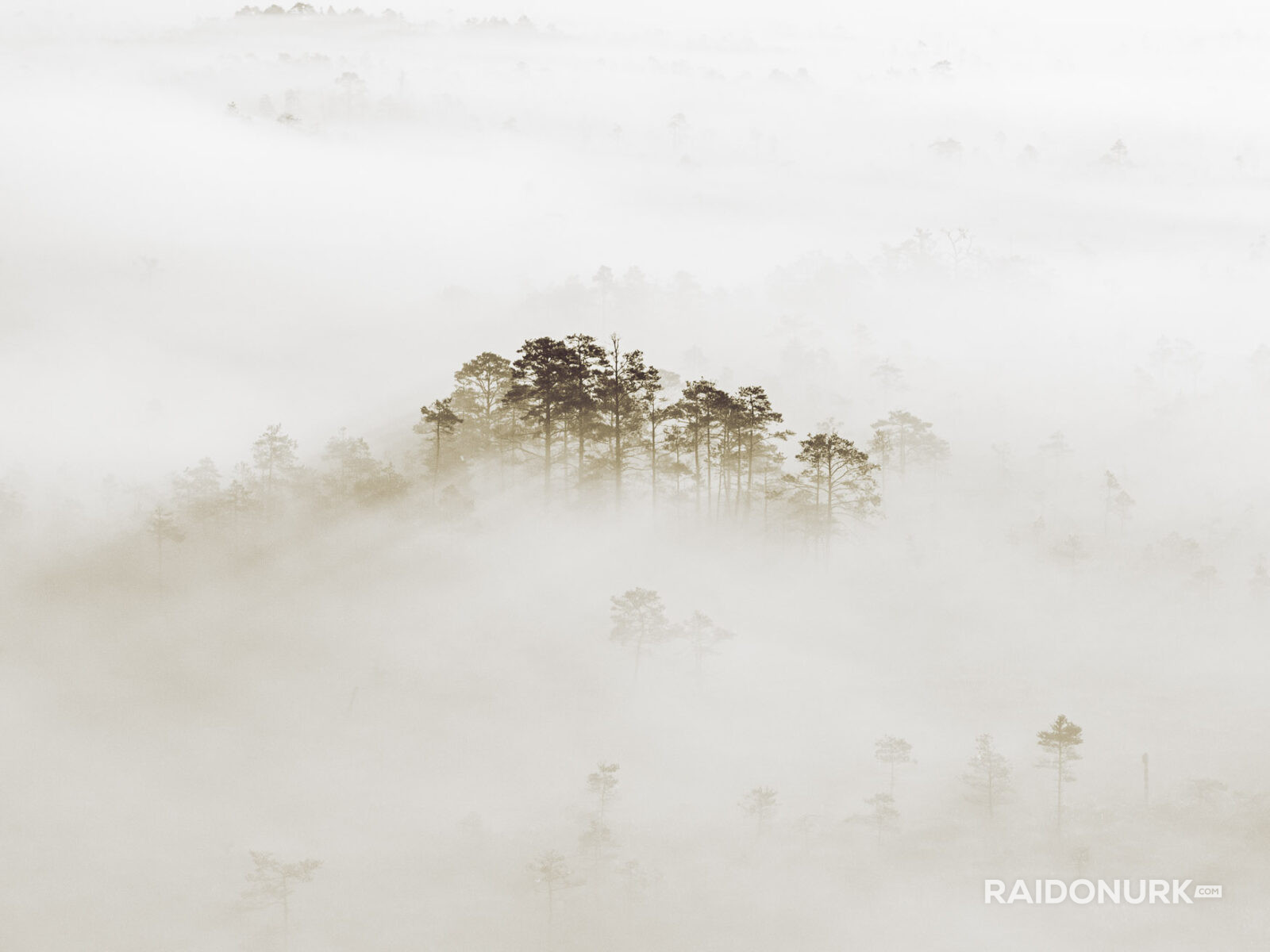 misty forest, morning mist, Nordic landscape, Estonia nature, sunrise photography, foggy morning, layers of mist, pine forest, bog photography, marsh sunrise, golden hour, fine art landscape, wilderness photography, nature fine art, atmospheric landscape, drone-like perspective, solitude in nature, forest layers, Estonian bog, dawn light