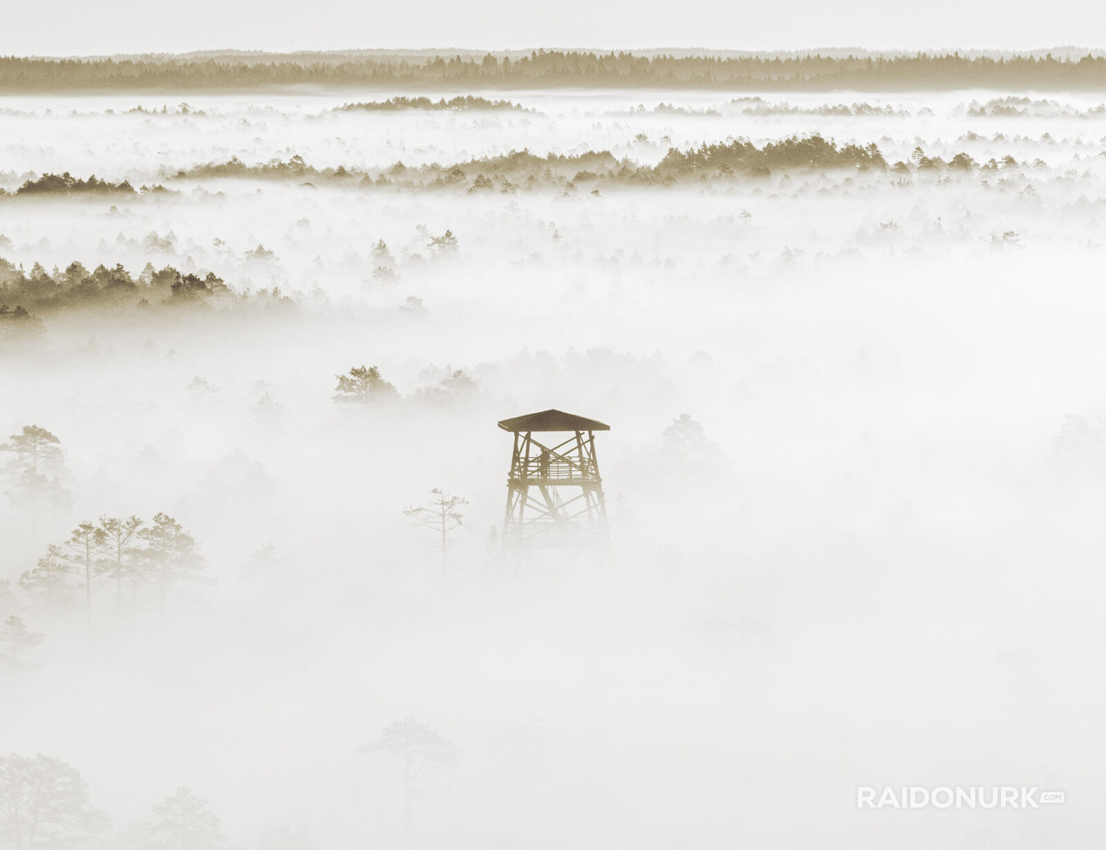 misty forest, morning mist, Nordic landscape, Estonia nature, sunrise photography, foggy morning, layers of mist, pine forest, bog photography, marsh sunrise, golden hour, fine art landscape, wilderness photography, nature fine art, atmospheric landscape, drone-like perspective, solitude in nature, forest layers, Estonian bog, dawn light